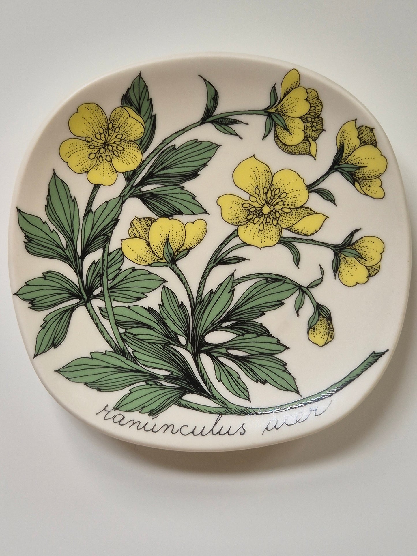 Arabia “Botanica” Wandbord – Esteri Tomula (1988-1989)