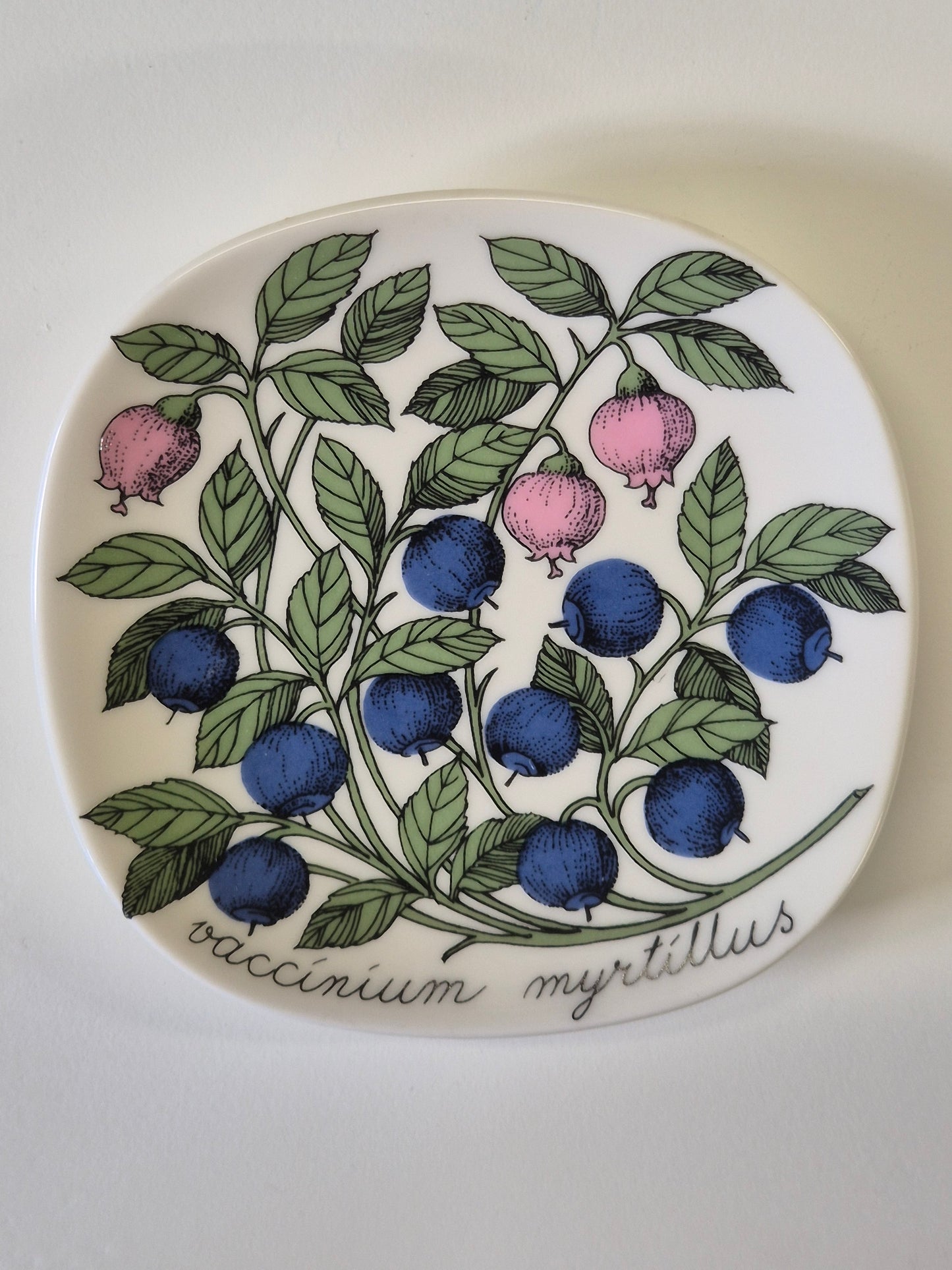 Arabia “Botanica” Wandbord – Esteri Tomula (1988-1989)