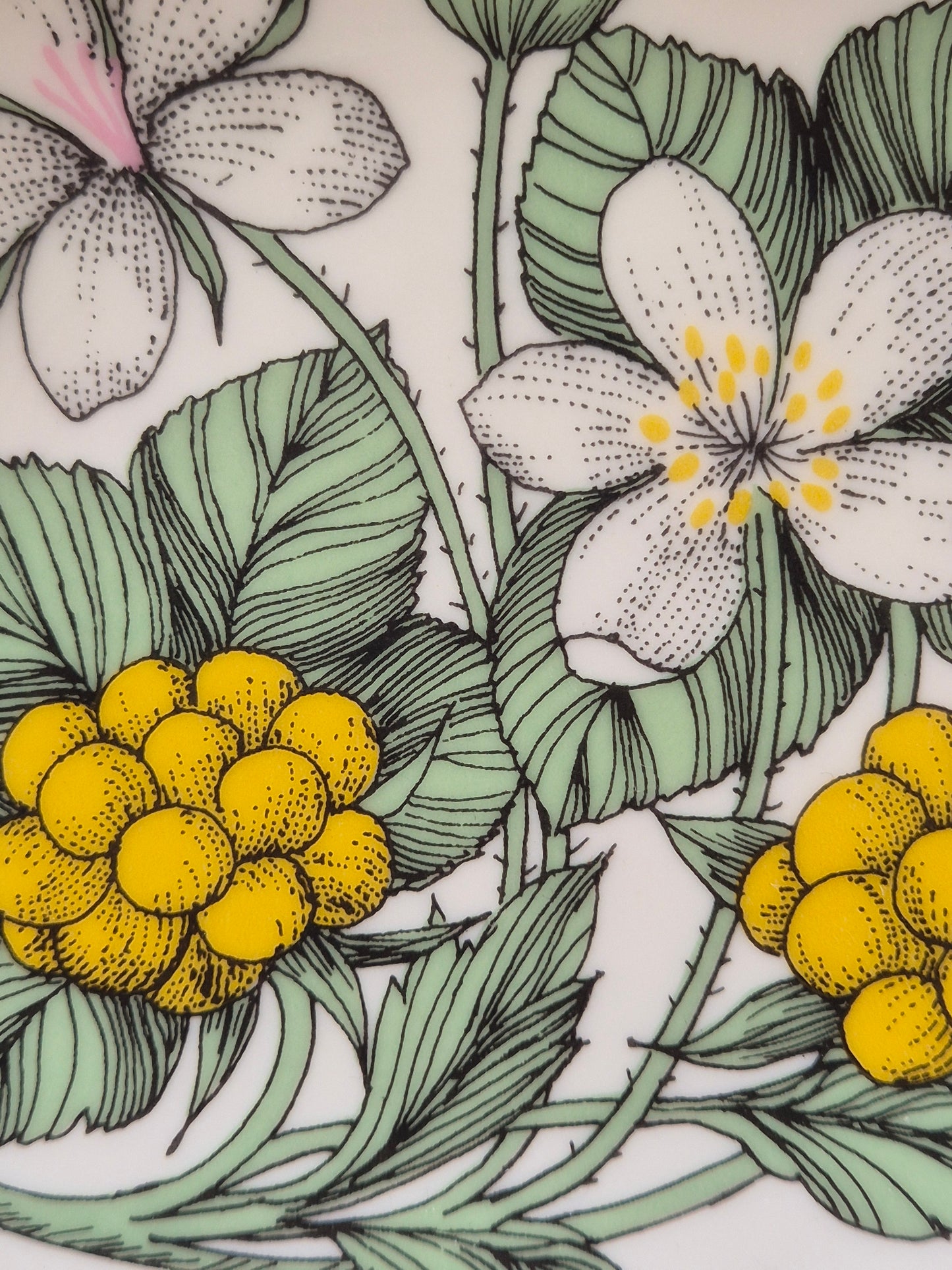 Arabia “Botanica” Wandbord – Esteri Tomula (1988-1989)