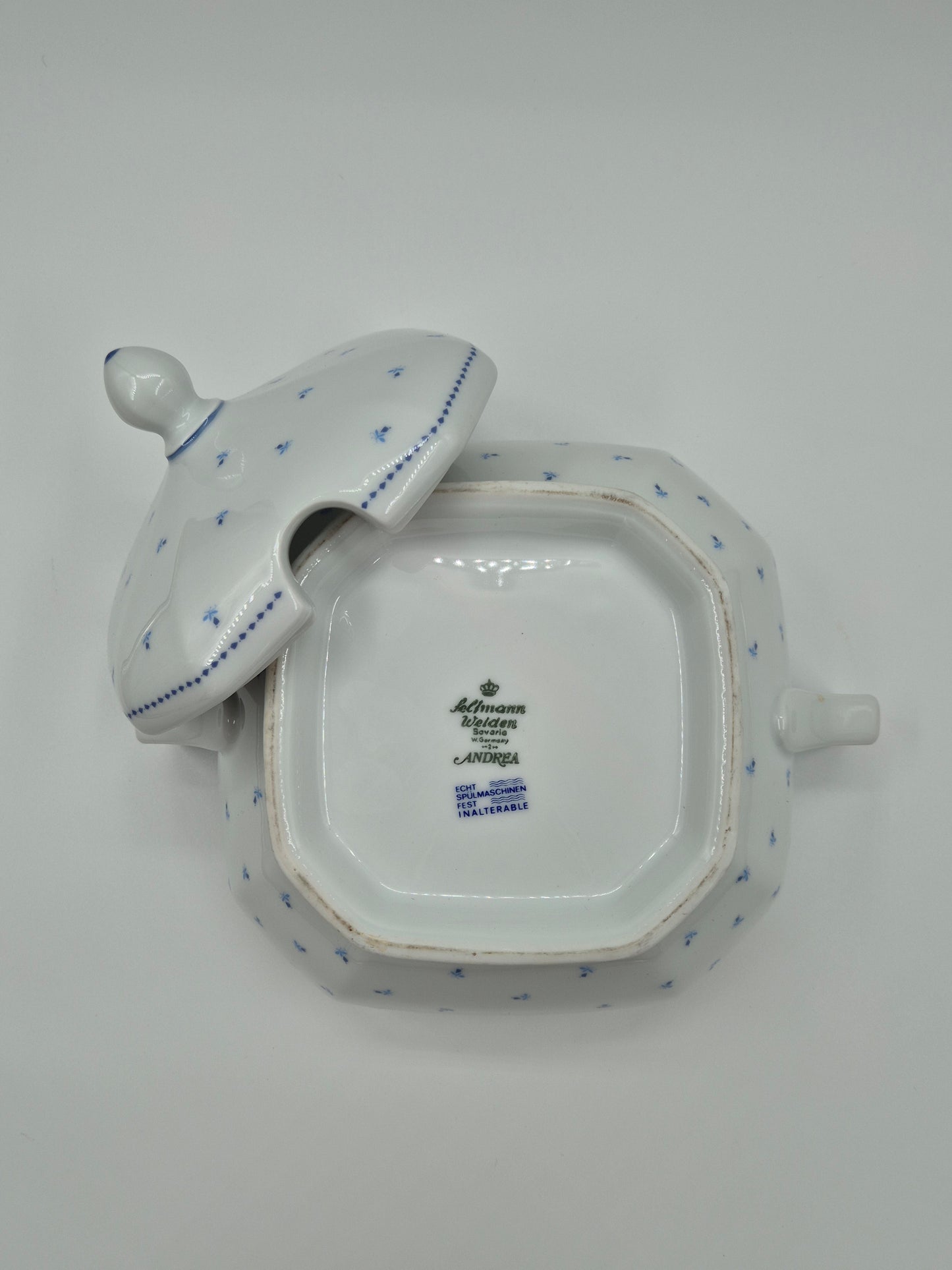 Seltmann Weiden Bavaria Soepterrine
