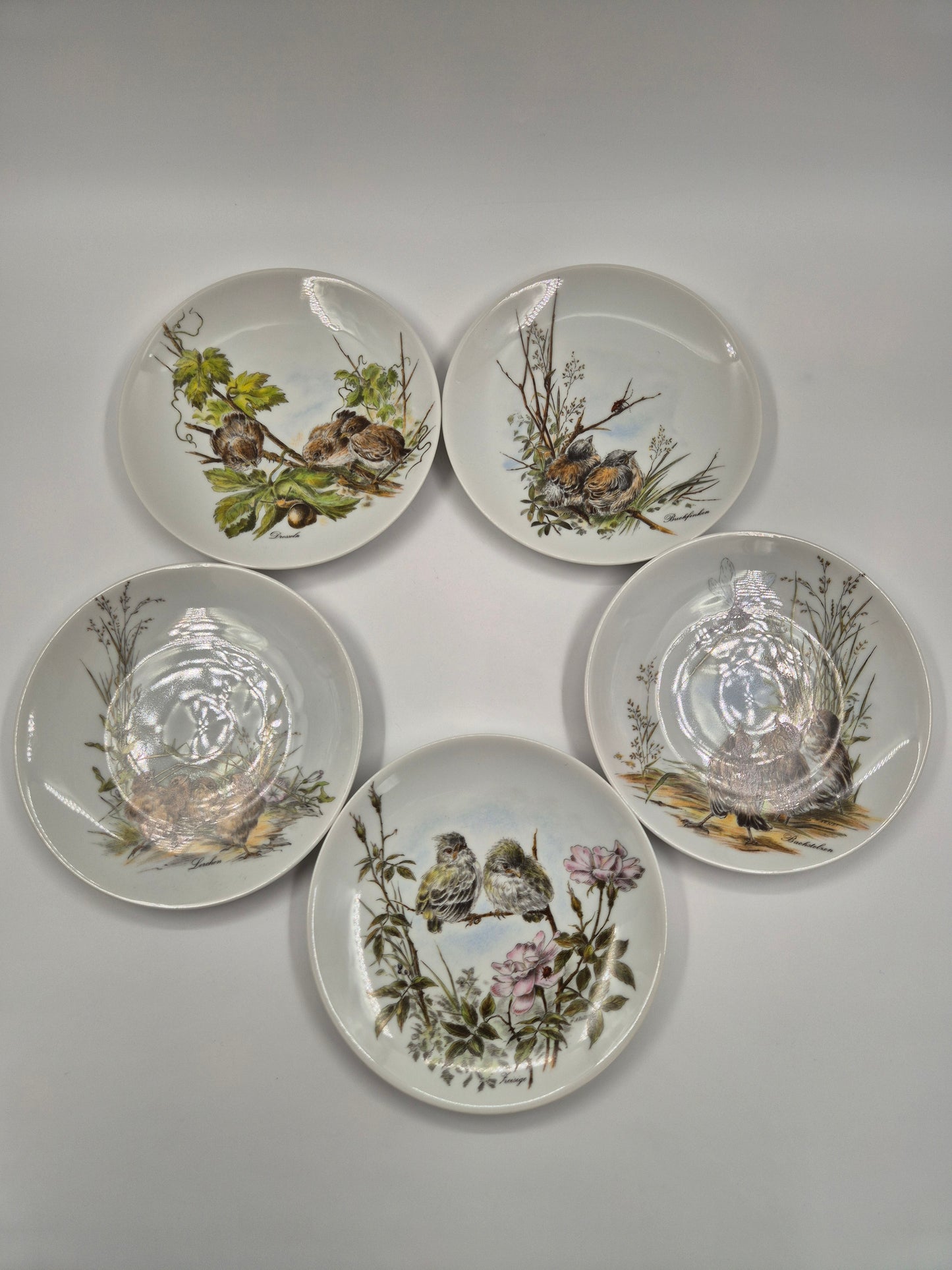 Set of 5 Vintage Vohenstrauss Bavaria Bird Wall Plates – Johann Seltmann Germany – Ø20 cm