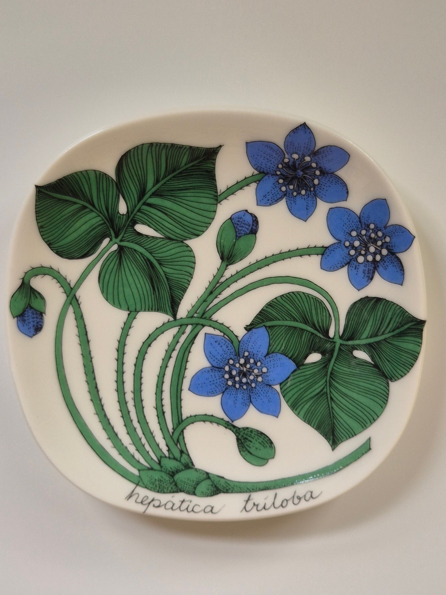 Arabia “Botanica” Wandbord – Esteri Tomula (1988-1989)
