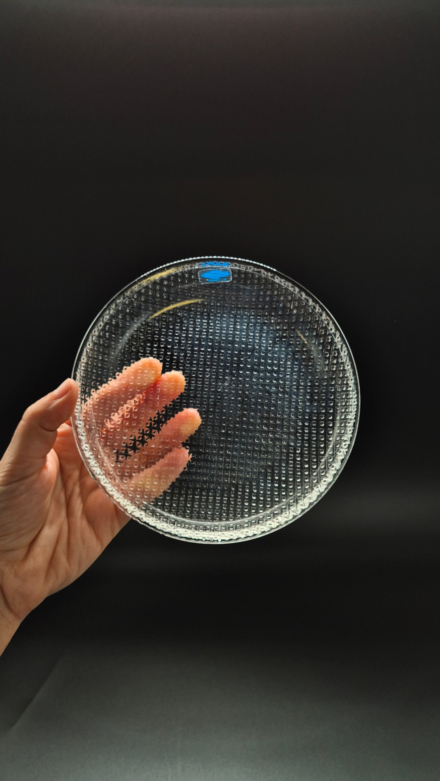 Set of Six Nuutajärvi Pauliina Glass Plate – 1990s Vintage by Kerttu Nurminen