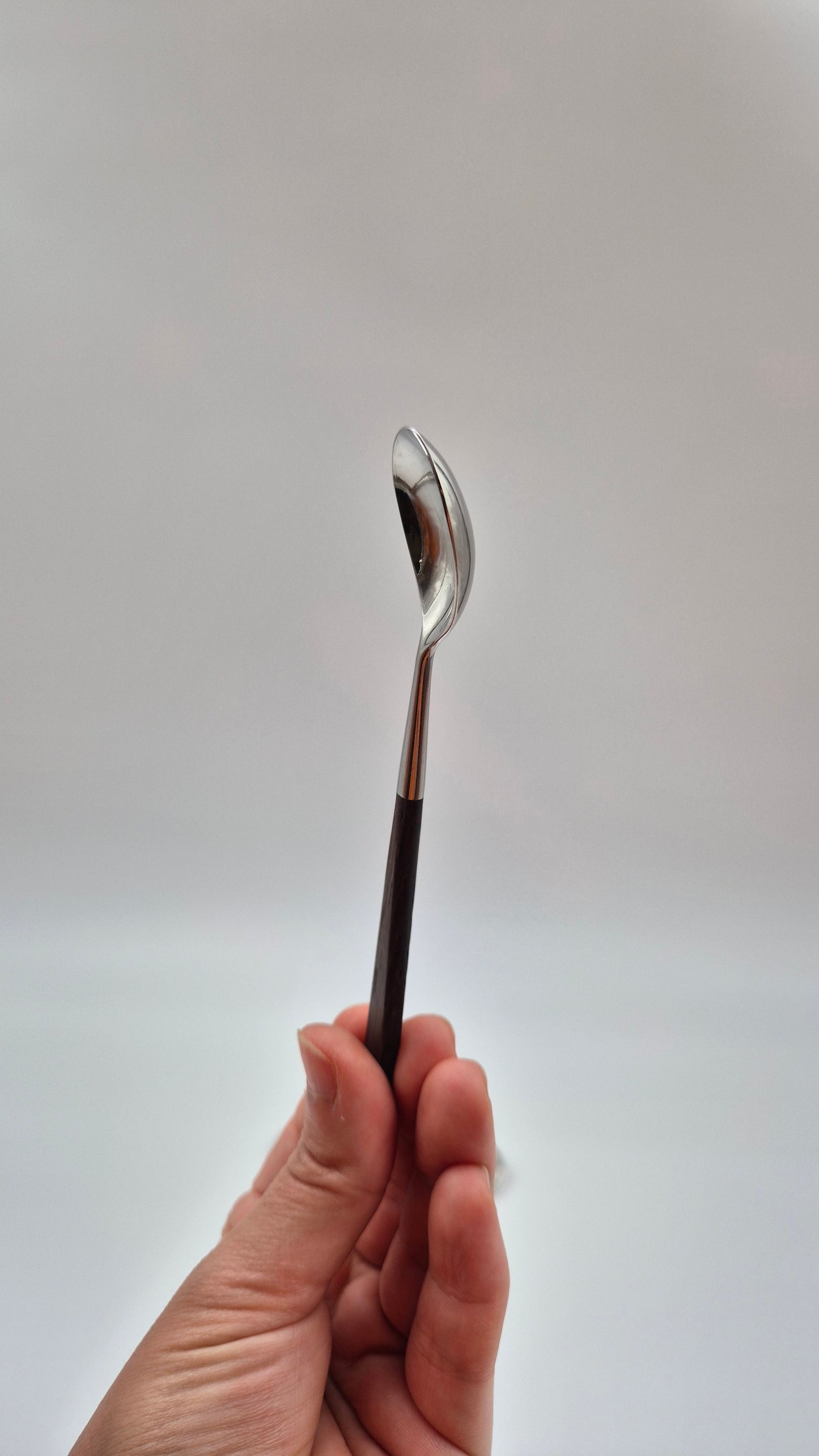 Bertel Gardberg Lion De Luxe Coffee Spoon Set – Set of 6