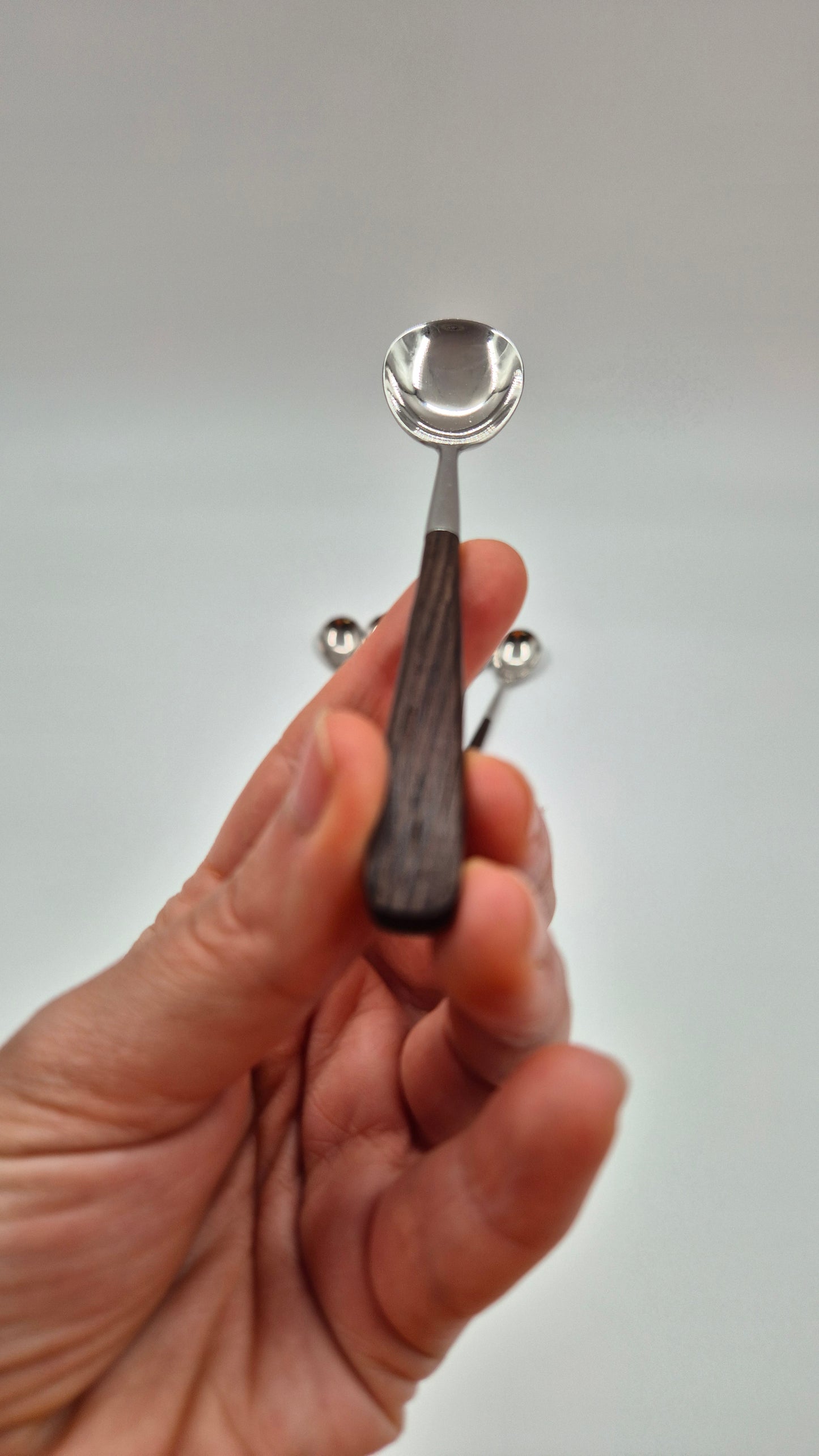 Bertel Gardberg Lion De Luxe Coffee Spoon Set – Set of 6