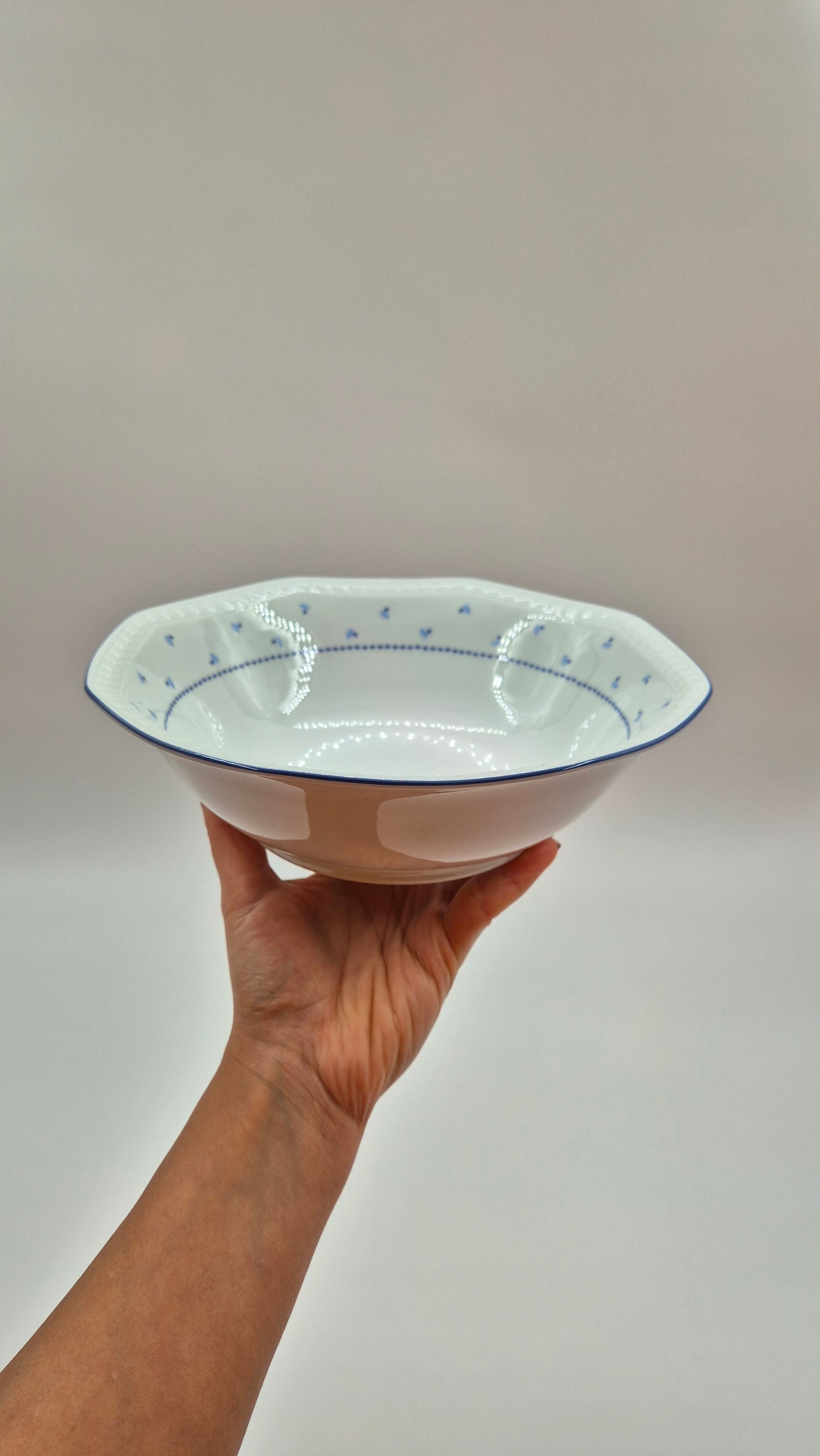 Seltmann Weiden Bavarian Porcelain Dinner Set - 37 pieces