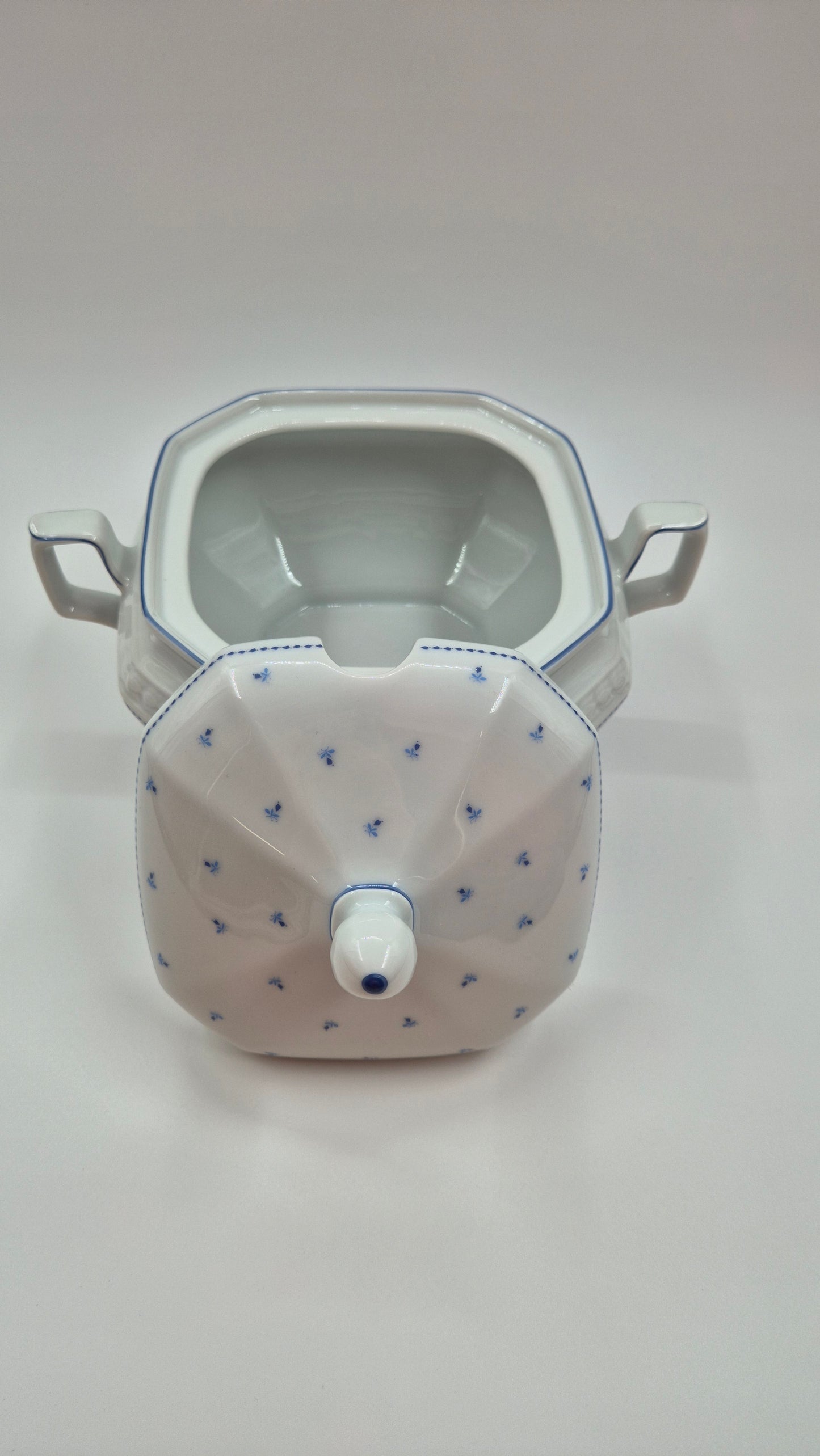 Seltmann Weiden Bavarian Porcelain Dinner Set - 37 pieces
