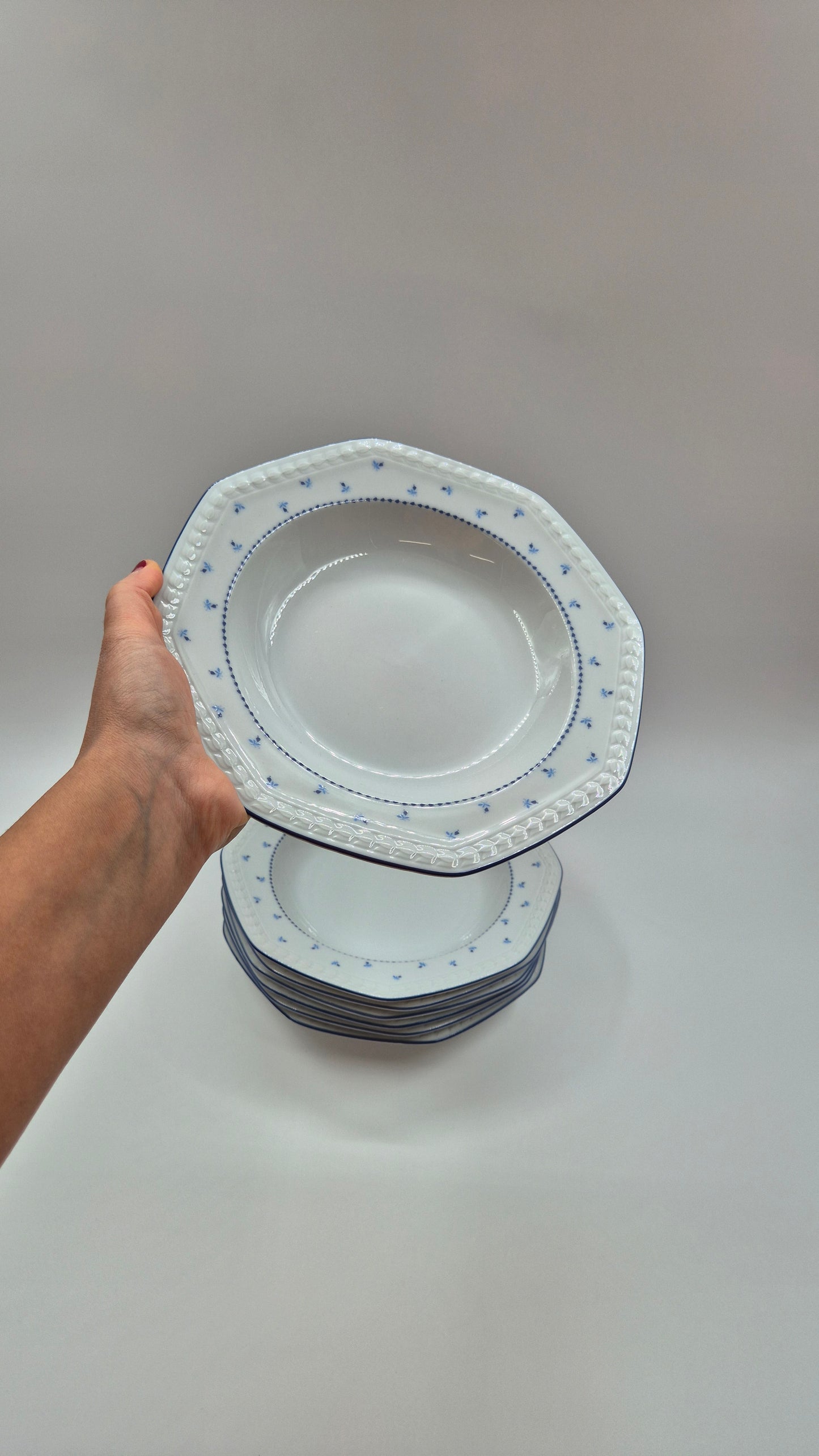 Seltmann Weiden Bavarian Porcelain Dinner Set - 37 pieces