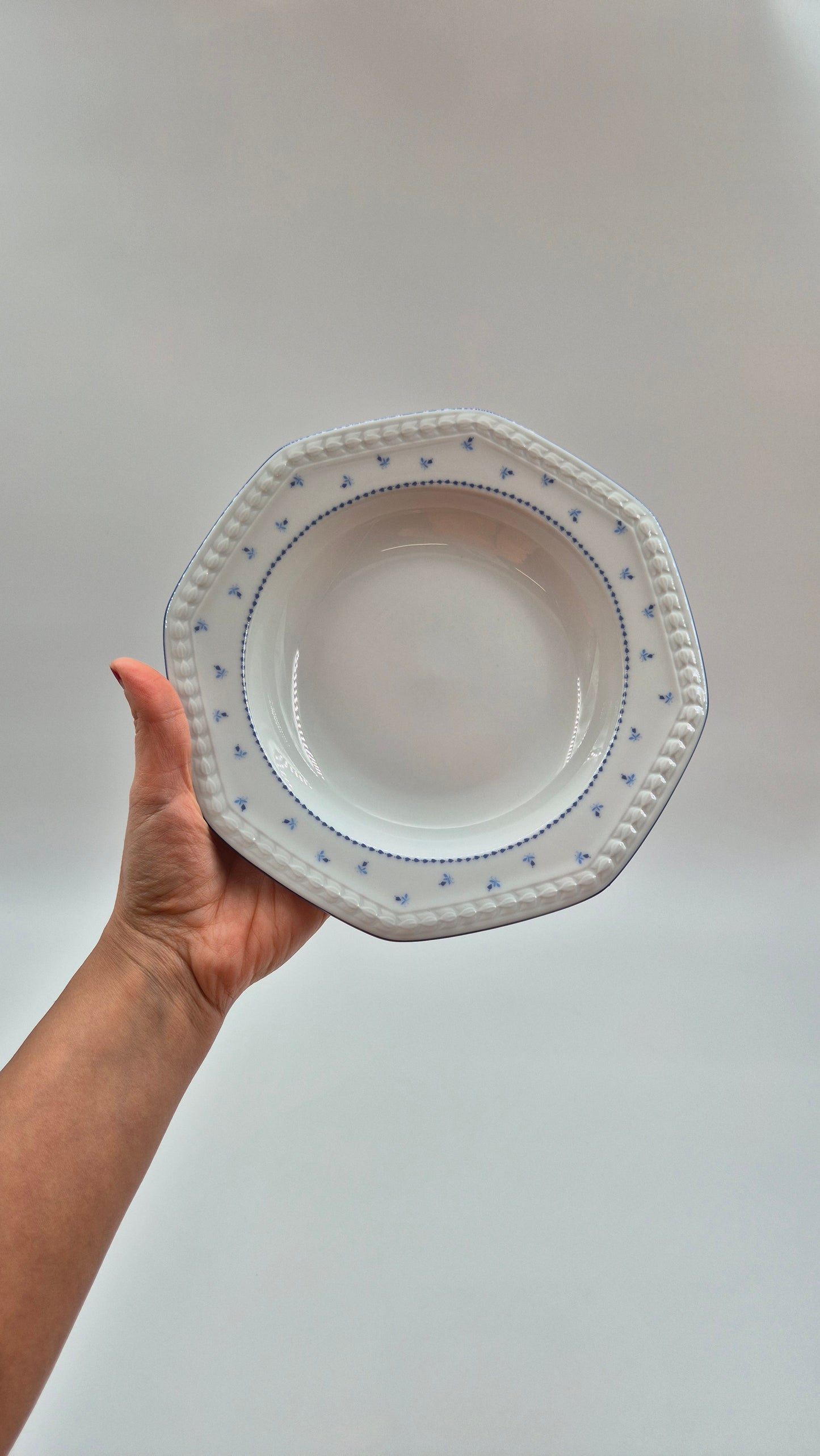 Seltmann Weiden Bavarian Porcelain Dinner Set - 37 pieces