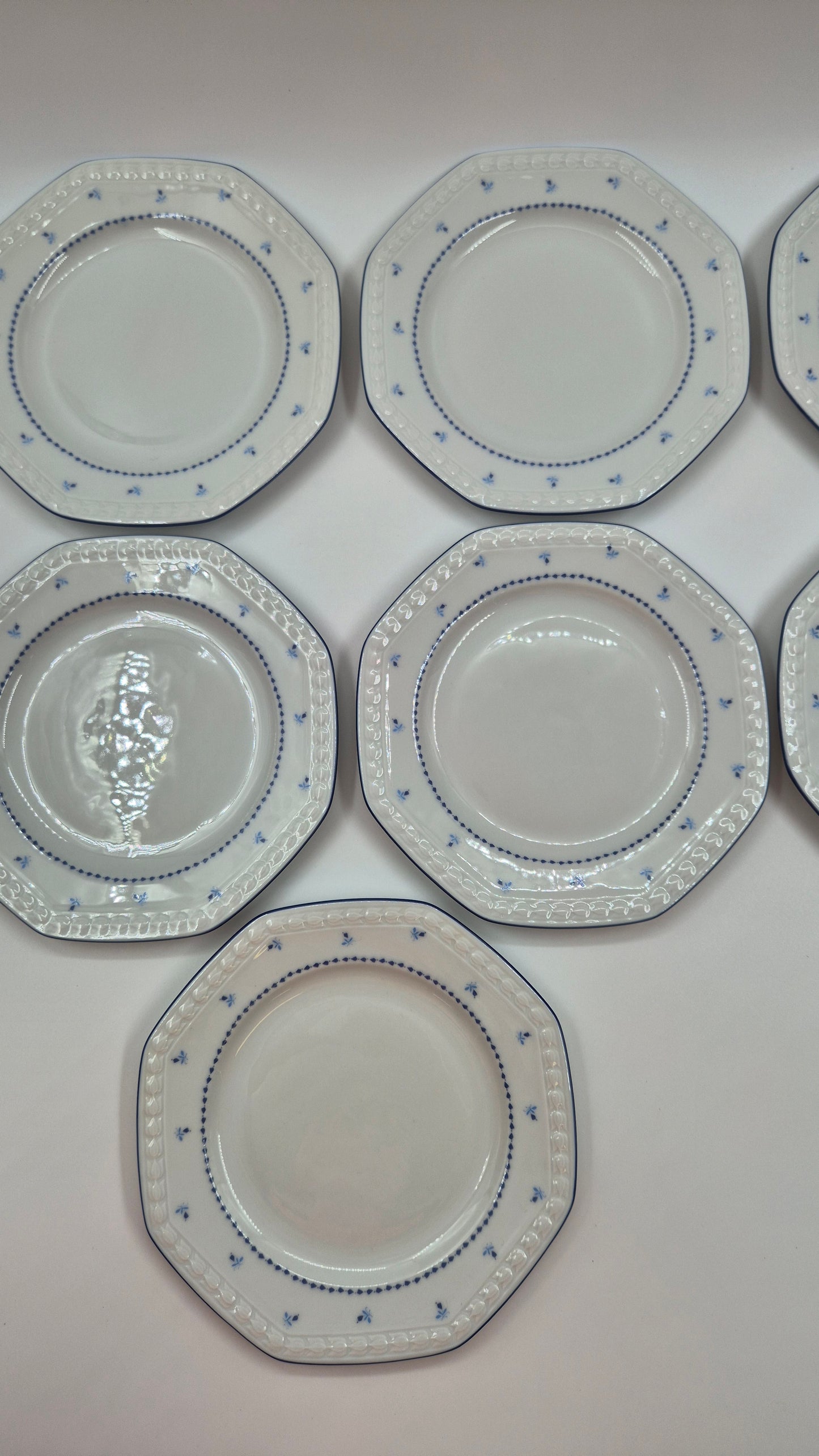 Seltmann Weiden Bavarian Porcelain Dinner Set - 37 pieces