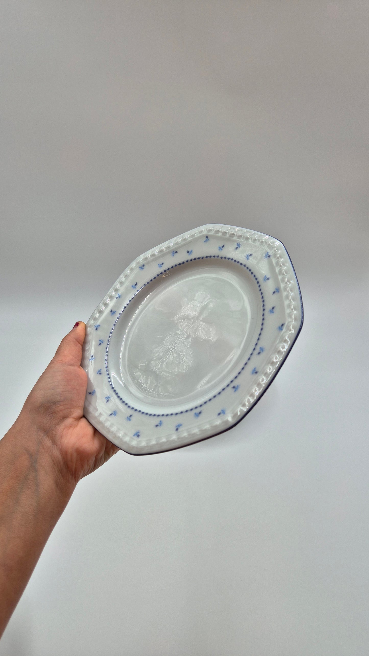 Seltmann Weiden Bavarian Porcelain Dinner Set - 37 pieces