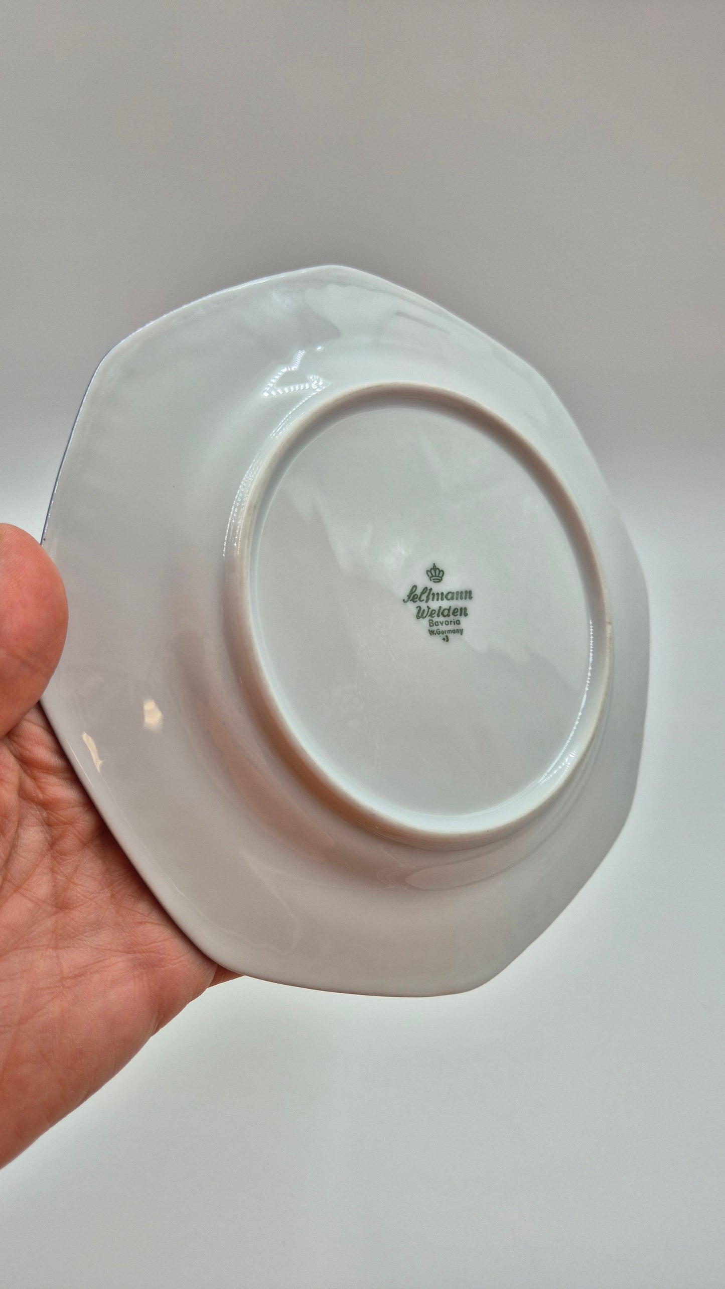 Seltmann Weiden Bavarian Porcelain Dinner Set - 37 pieces
