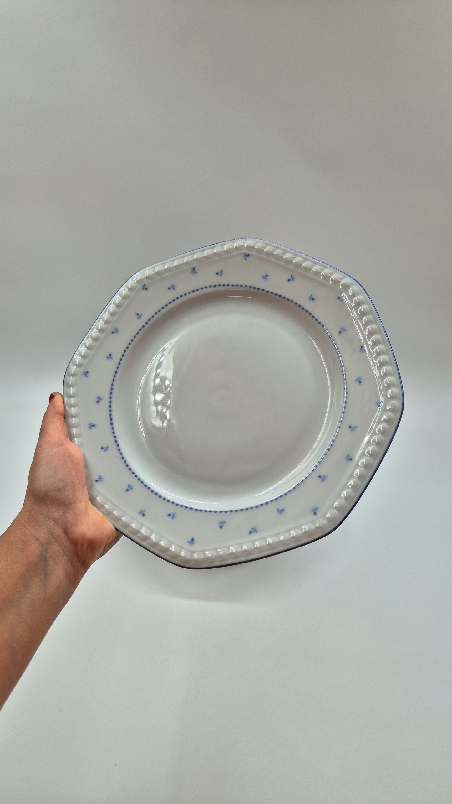 Seltmann Weiden Bavarian Porcelain Dinner Set - 37 pieces