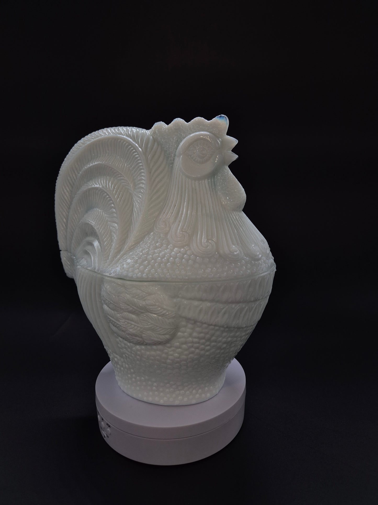 HSG Ząbkowice Kogut Rooster Bonbonniere