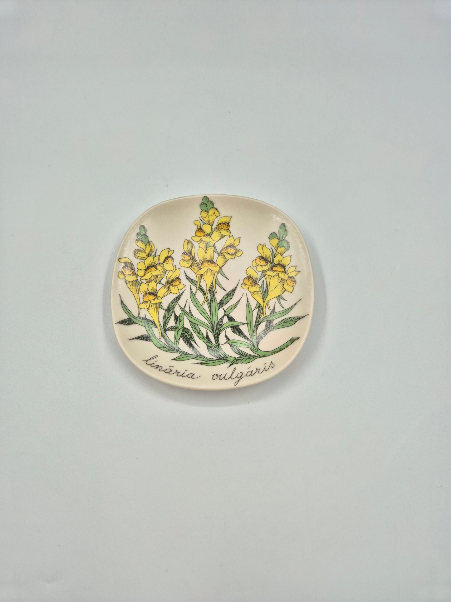 Arabia “Botanica” Wall Plate – Esteri Tomula (1988–1989)