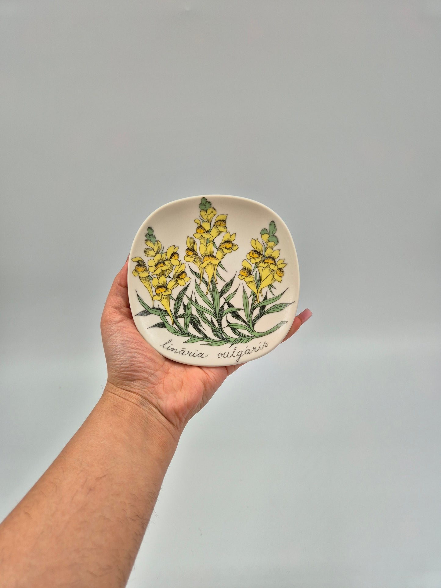 Arabia “Botanica” Wall Plate – Esteri Tomula (1988–1989)