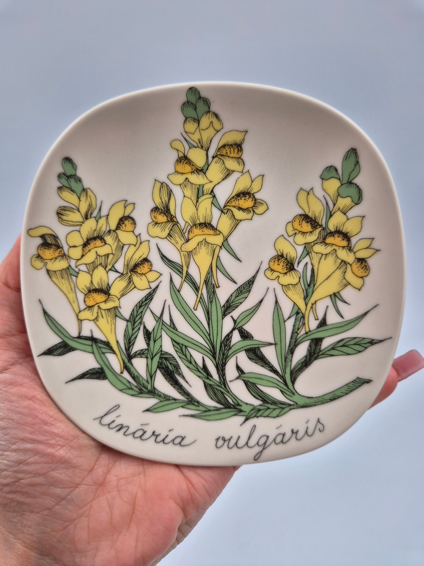 Arabia “Botanica” Wall Plate – Esteri Tomula (1988–1989)