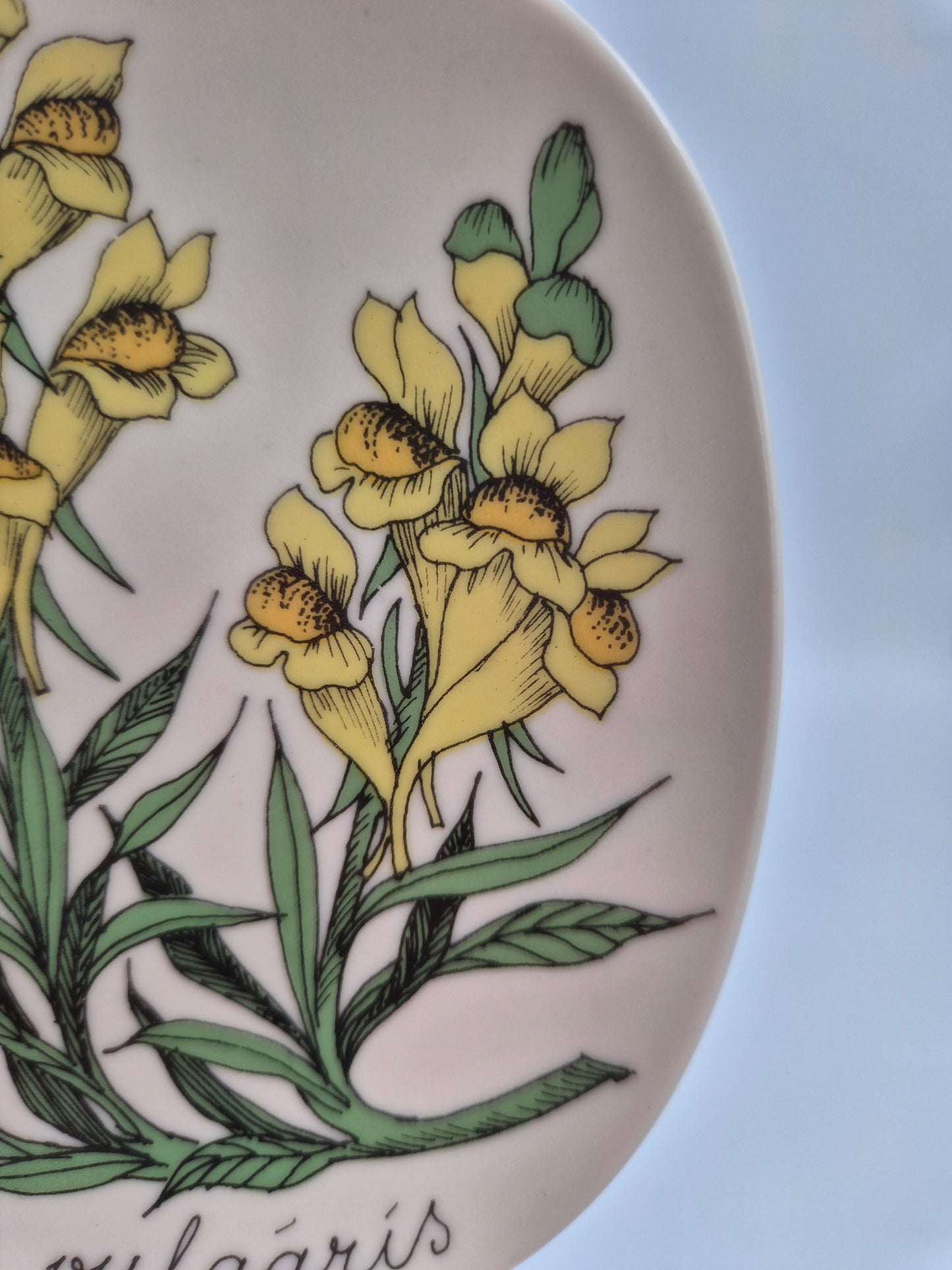 Arabia “Botanica” Wall Plate – Esteri Tomula (1988–1989)