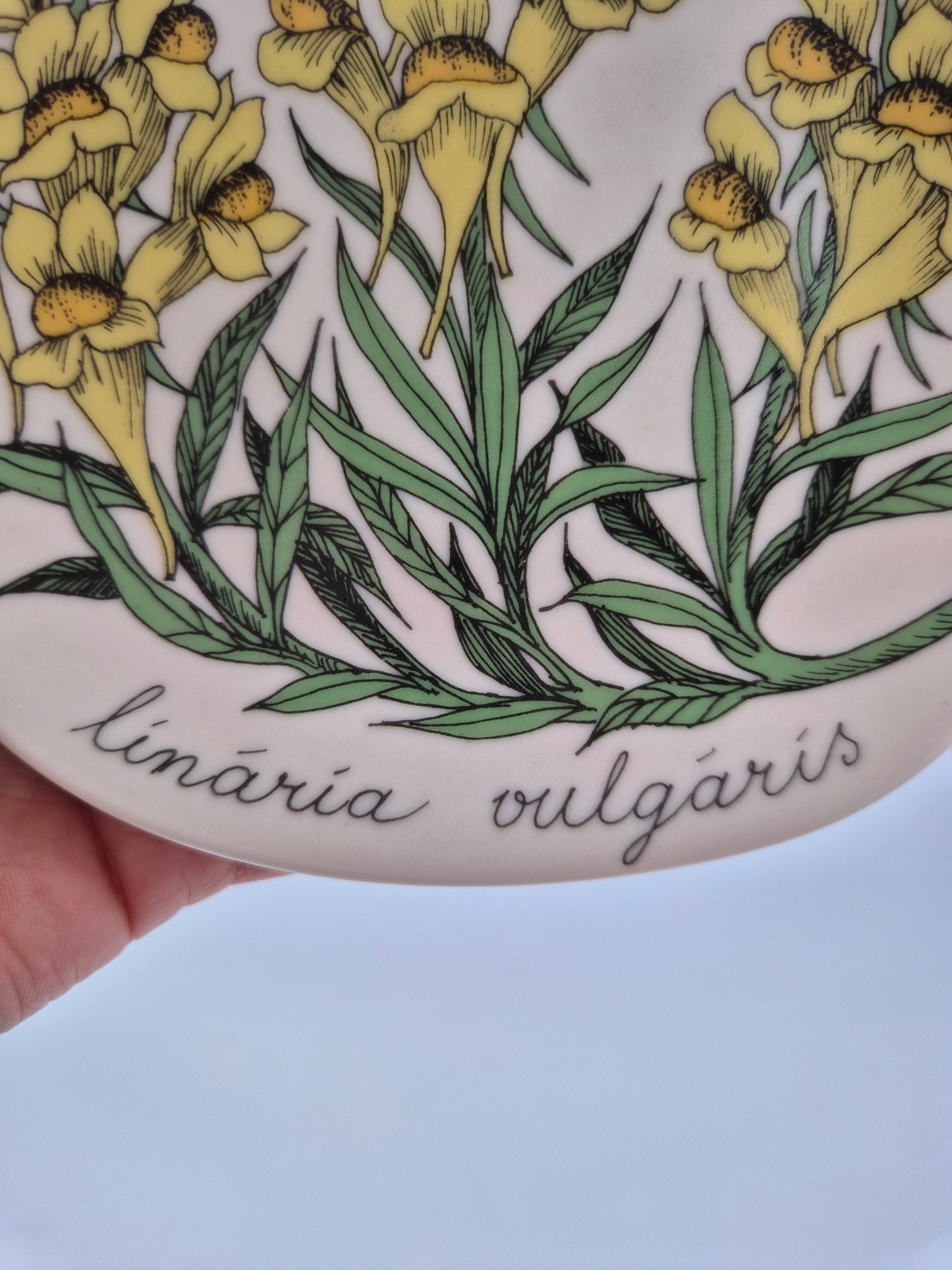 Arabia “Botanica” Wall Plate – Esteri Tomula (1988–1989)