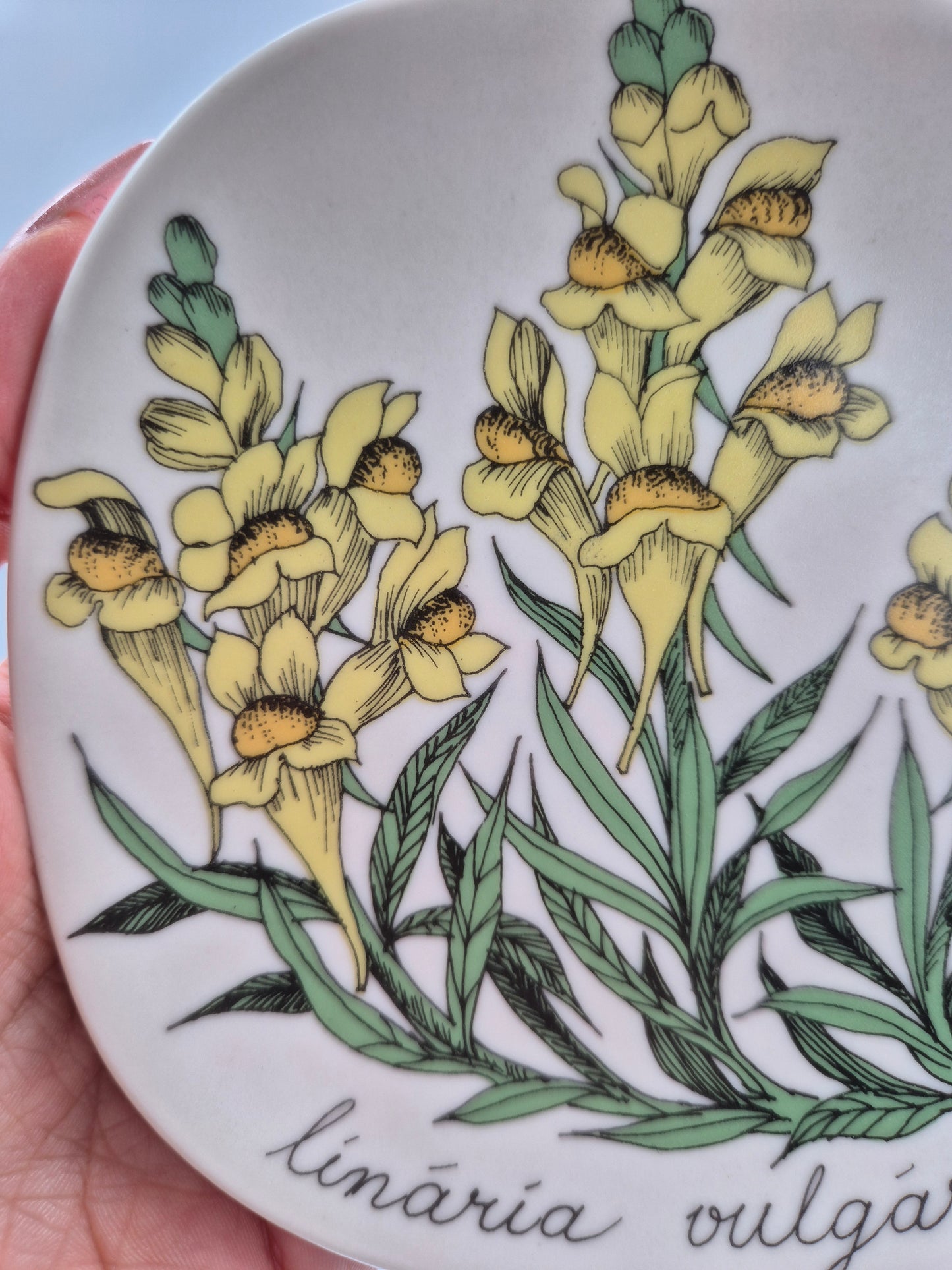 Arabia “Botanica” Wall Plate – Esteri Tomula (1988–1989)