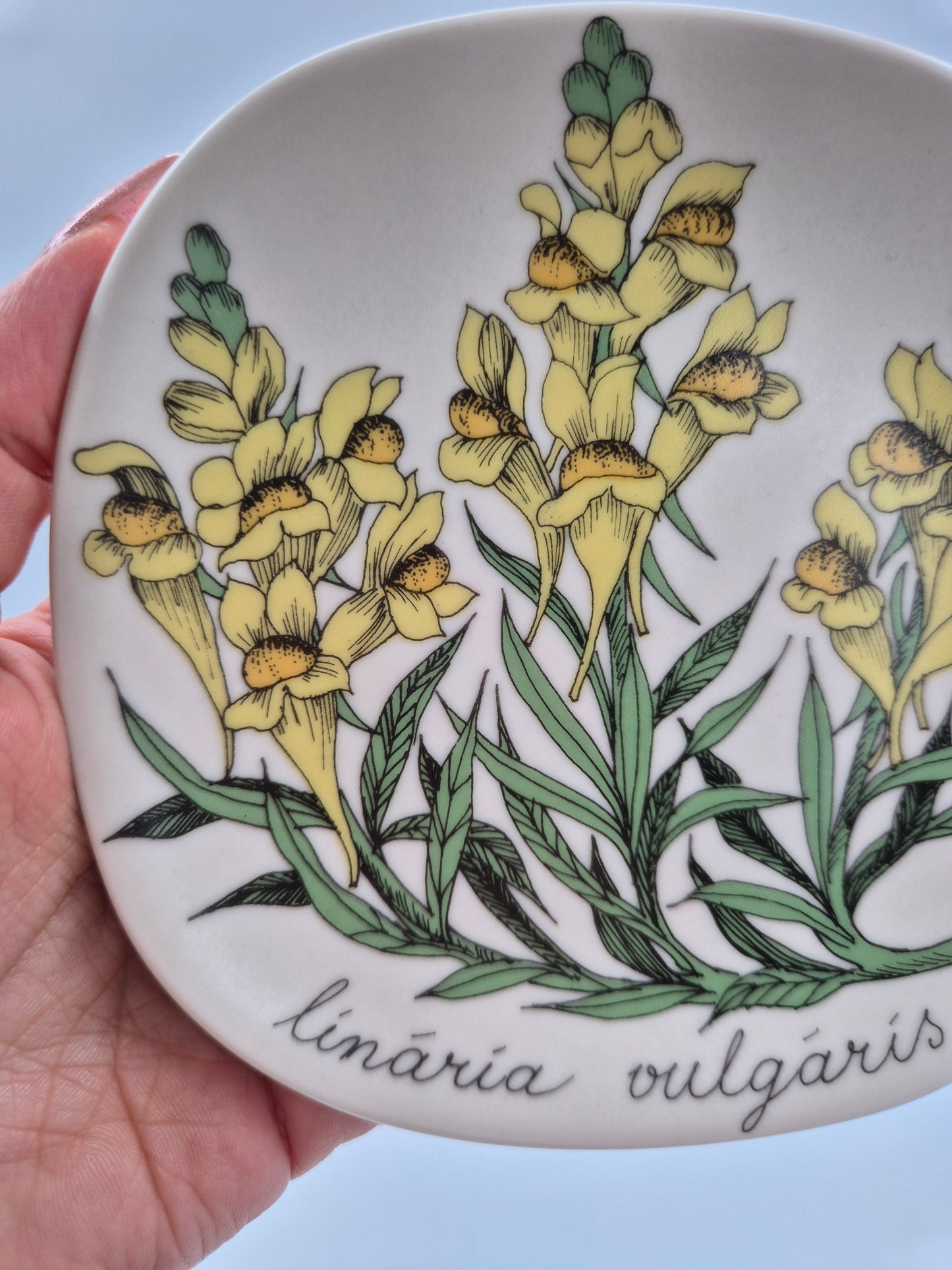 Arabia “Botanica” Wall Plate – Esteri Tomula (1988–1989)