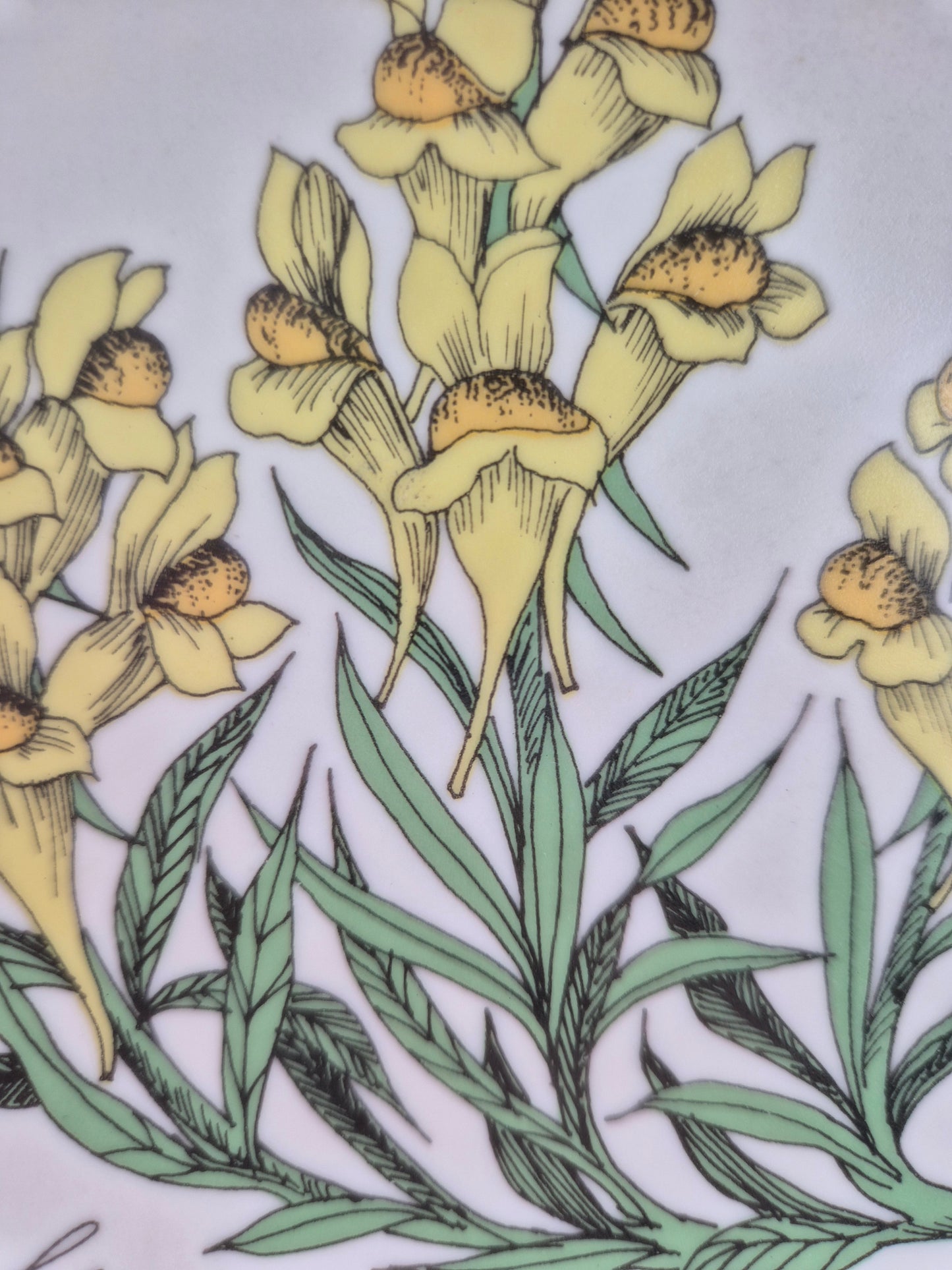 Arabia “Botanica” Wall Plate – Esteri Tomula (1988–1989)