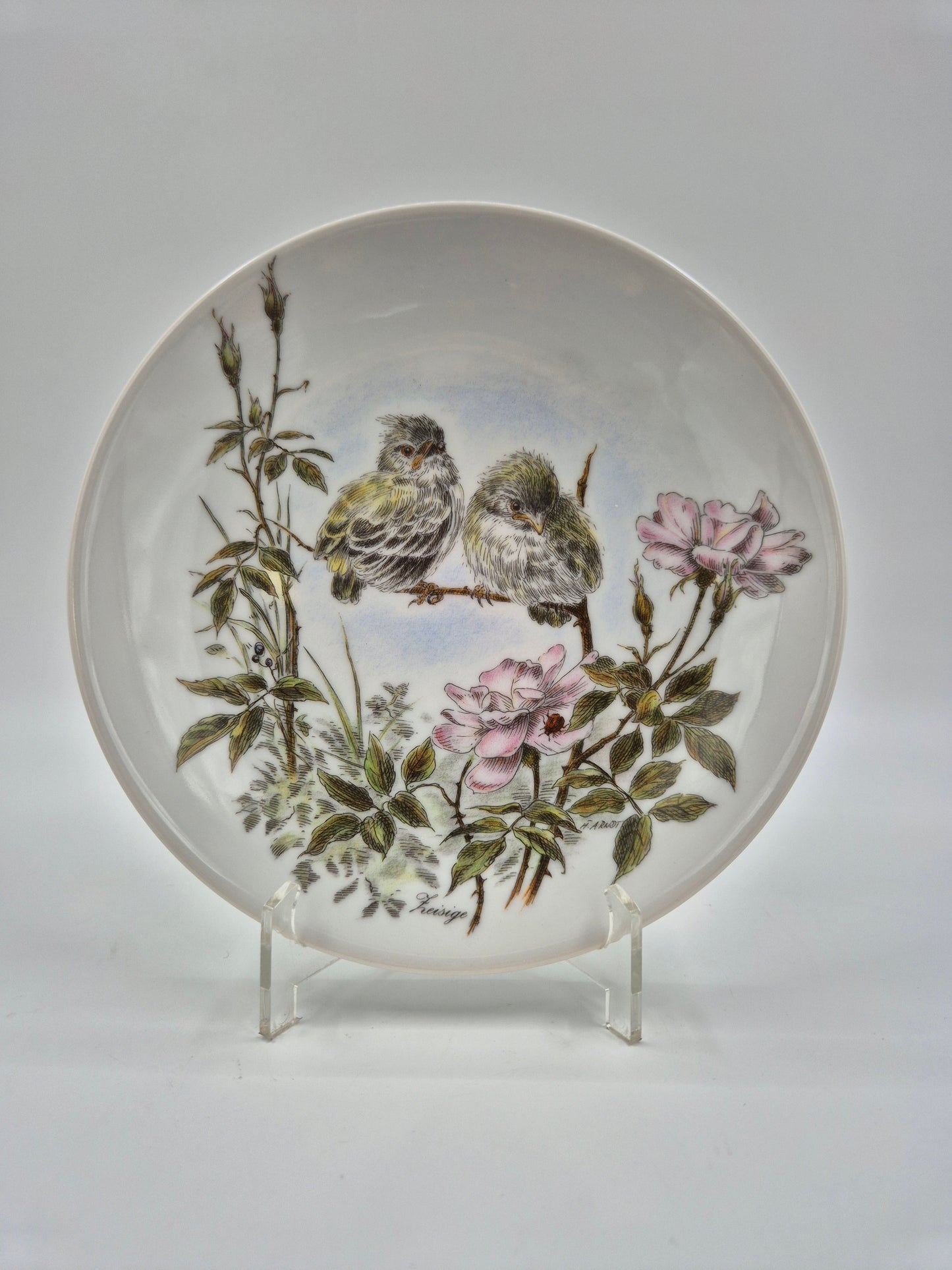 Set of 5 Vintage Vohenstrauss Bavaria Bird Wall Plates – Johann Seltmann Germany – Ø20 cm
