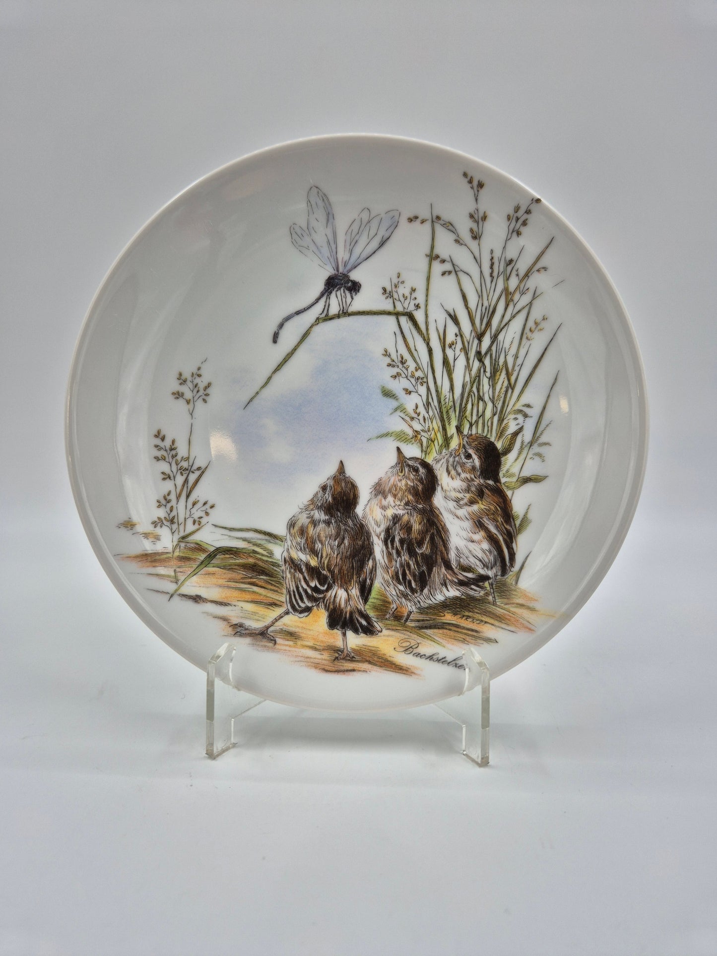 Set of 5 Vintage Vohenstrauss Bavaria Bird Wall Plates – Johann Seltmann Germany – Ø20 cm