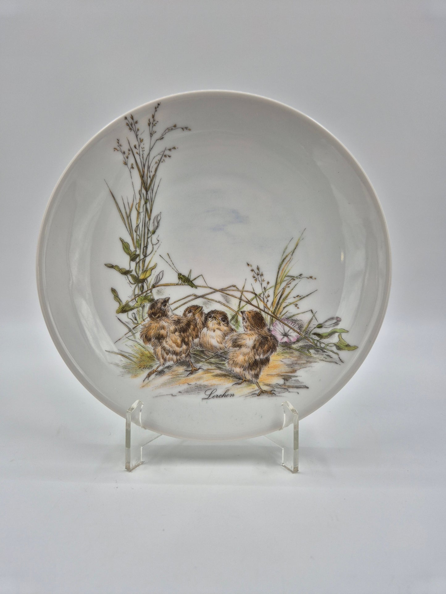 Set of 5 Vintage Vohenstrauss Bavaria Bird Wall Plates – Johann Seltmann Germany – Ø20 cm