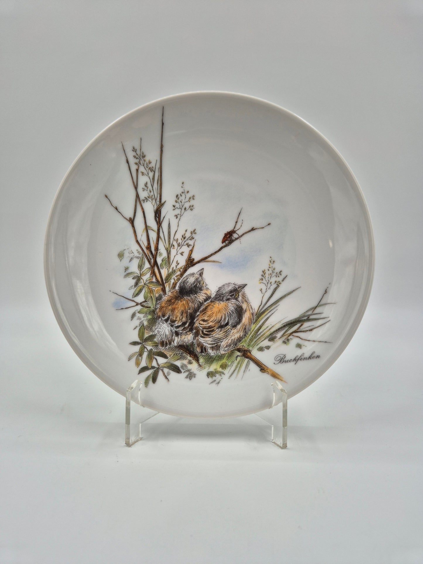 Set of 5 Vintage Vohenstrauss Bavaria Bird Wall Plates – Johann Seltmann Germany – Ø20 cm