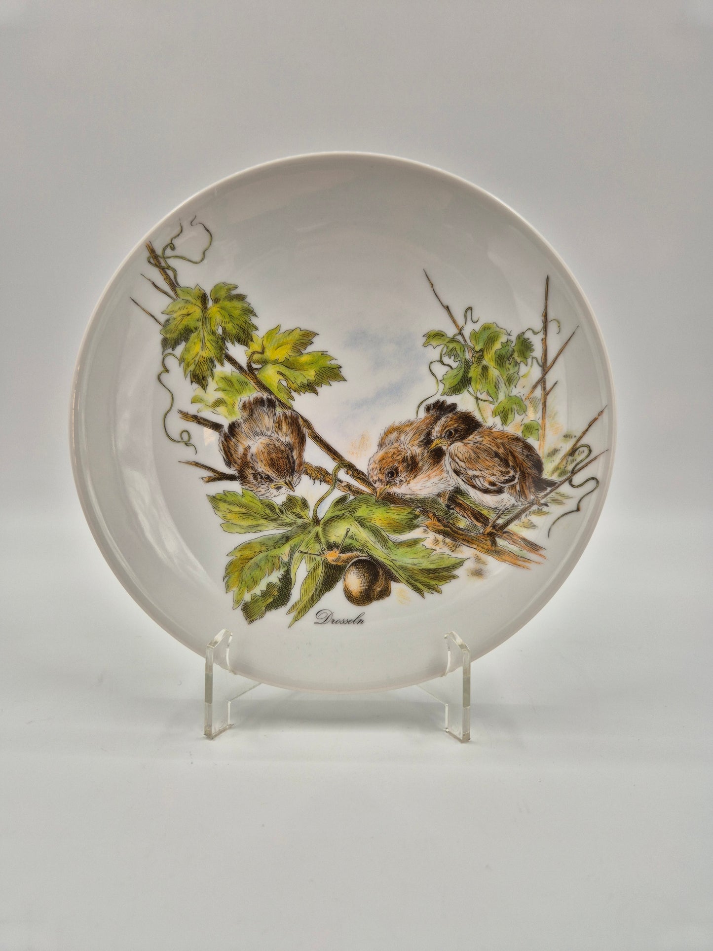 Set of 5 Vintage Vohenstrauss Bavaria Bird Wall Plates – Johann Seltmann Germany – Ø20 cm