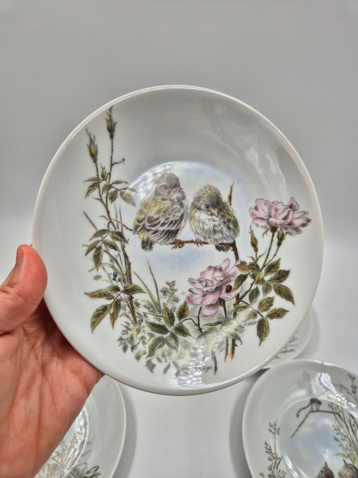 Set of 5 Vintage Vohenstrauss Bavaria Bird Wall Plates – Johann Seltmann Germany – Ø20 cm