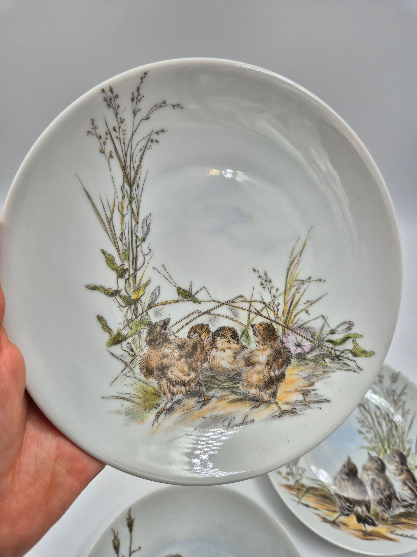 Set of 5 Vintage Vohenstrauss Bavaria Bird Wall Plates – Johann Seltmann Germany – Ø20 cm