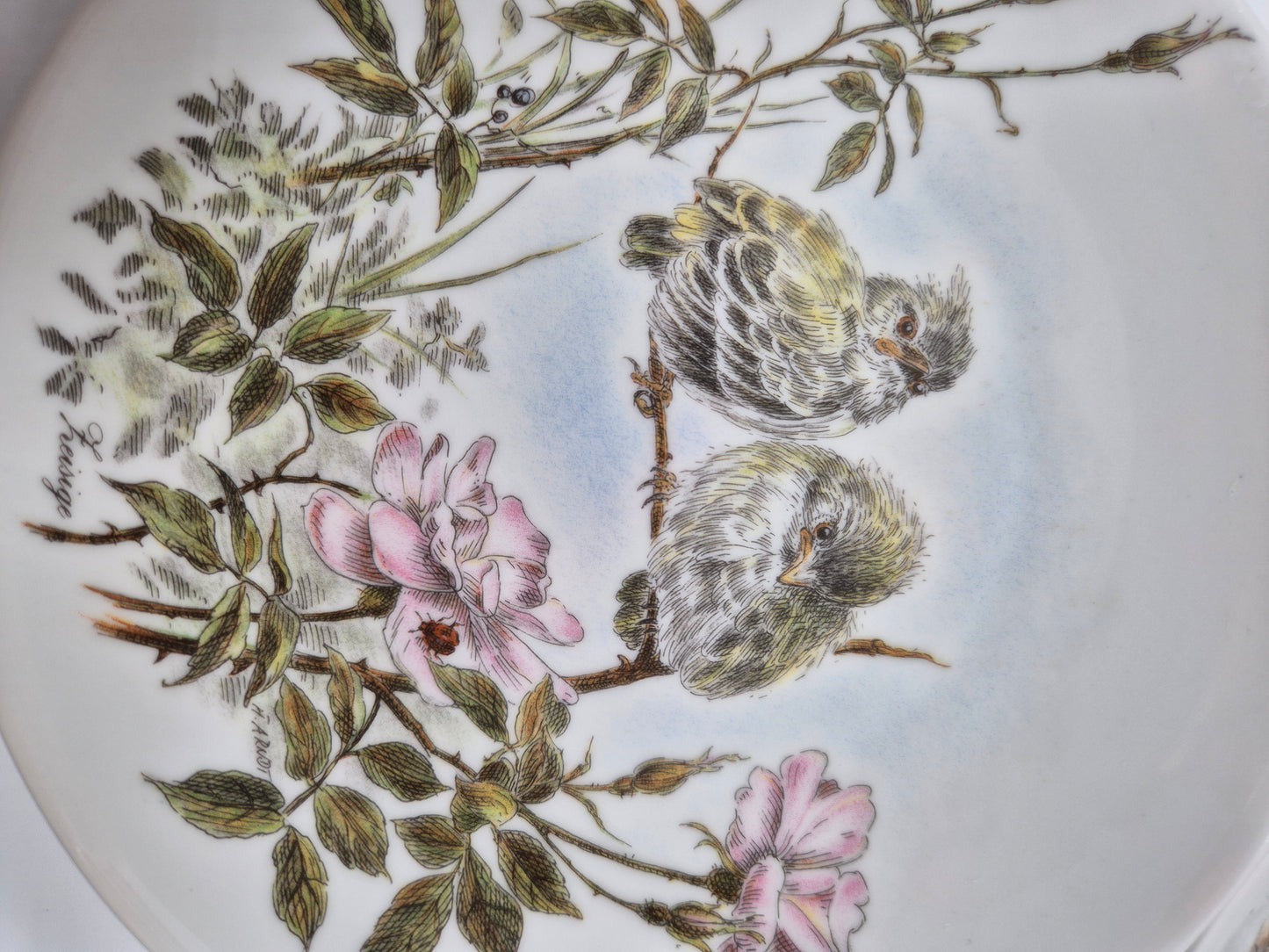 Set of 5 Vintage Vohenstrauss Bavaria Bird Wall Plates – Johann Seltmann Germany – Ø20 cm