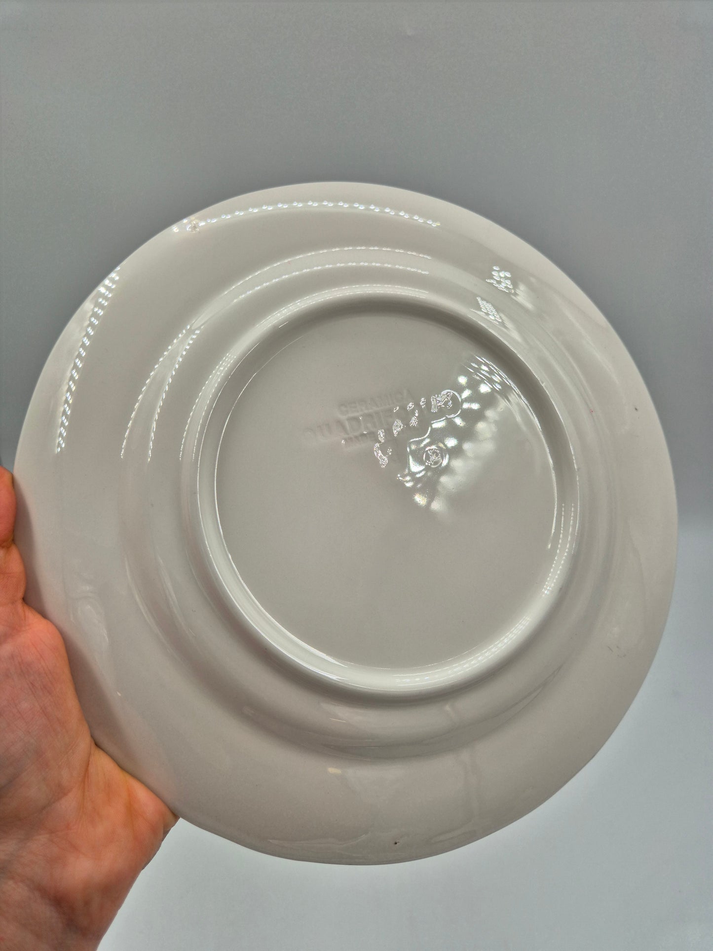 Set of 6 Ceramica Quadrifoglio Dinner Plates