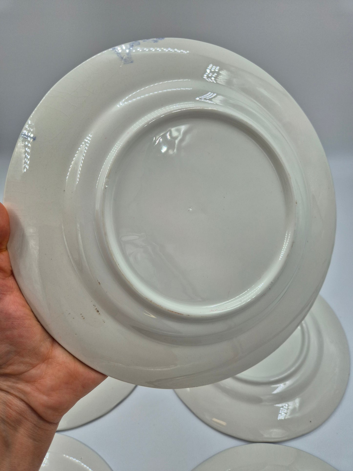 Set of 6 Ceramica Quadrifoglio Dinner Plates