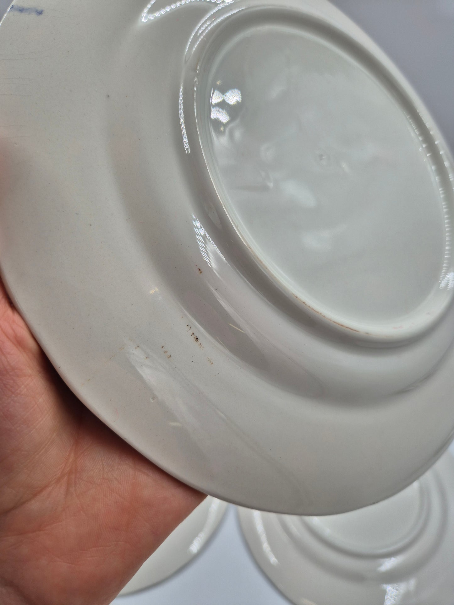 Set of 6 Ceramica Quadrifoglio Dinner Plates