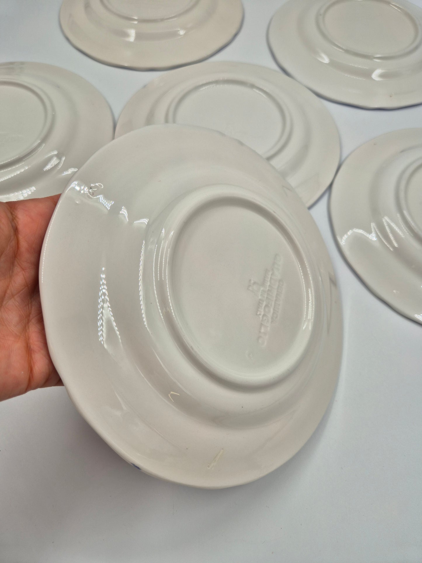 Set of 6 Ceramica Quadrifoglio Salad Plates