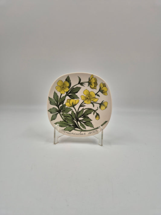 Arabia Botanica Niittyleinikki Wall Plate, Esteri Tomula, Meadow Buttercup, Ranunculus acer, 1982–1983