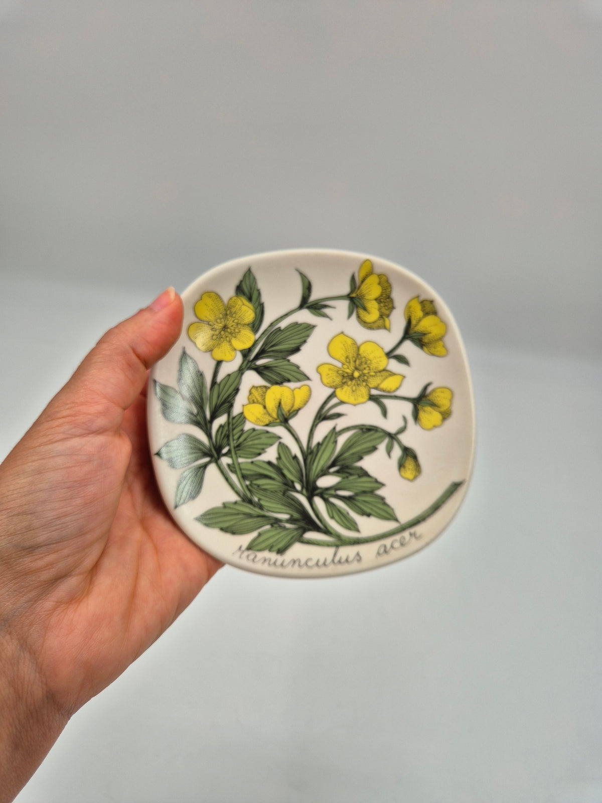 Arabia “Botanica” Wandbord – Esteri Tomula (1988-1989)