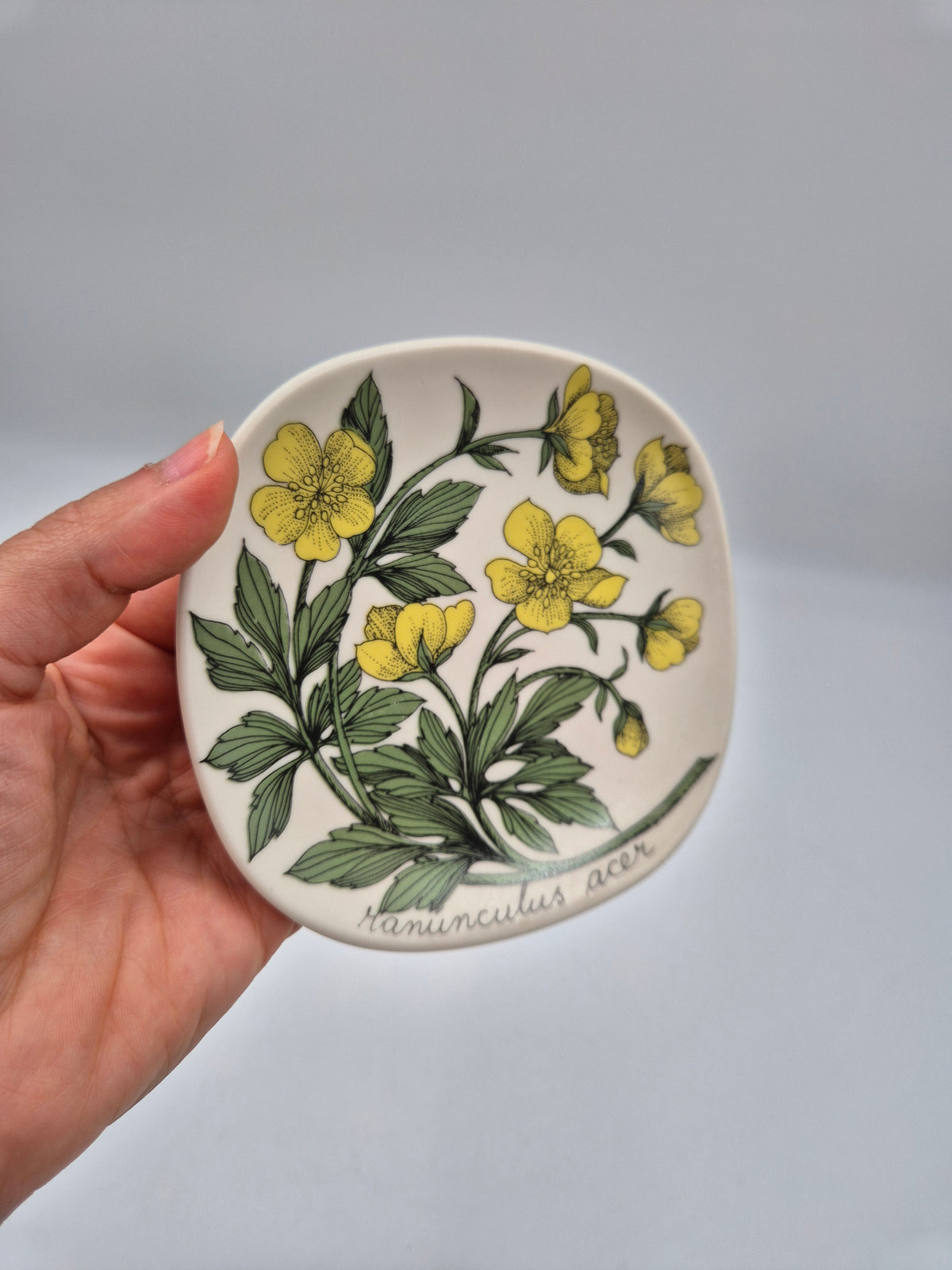 Arabia “Botanica” Wandbord – Esteri Tomula (1988-1989)