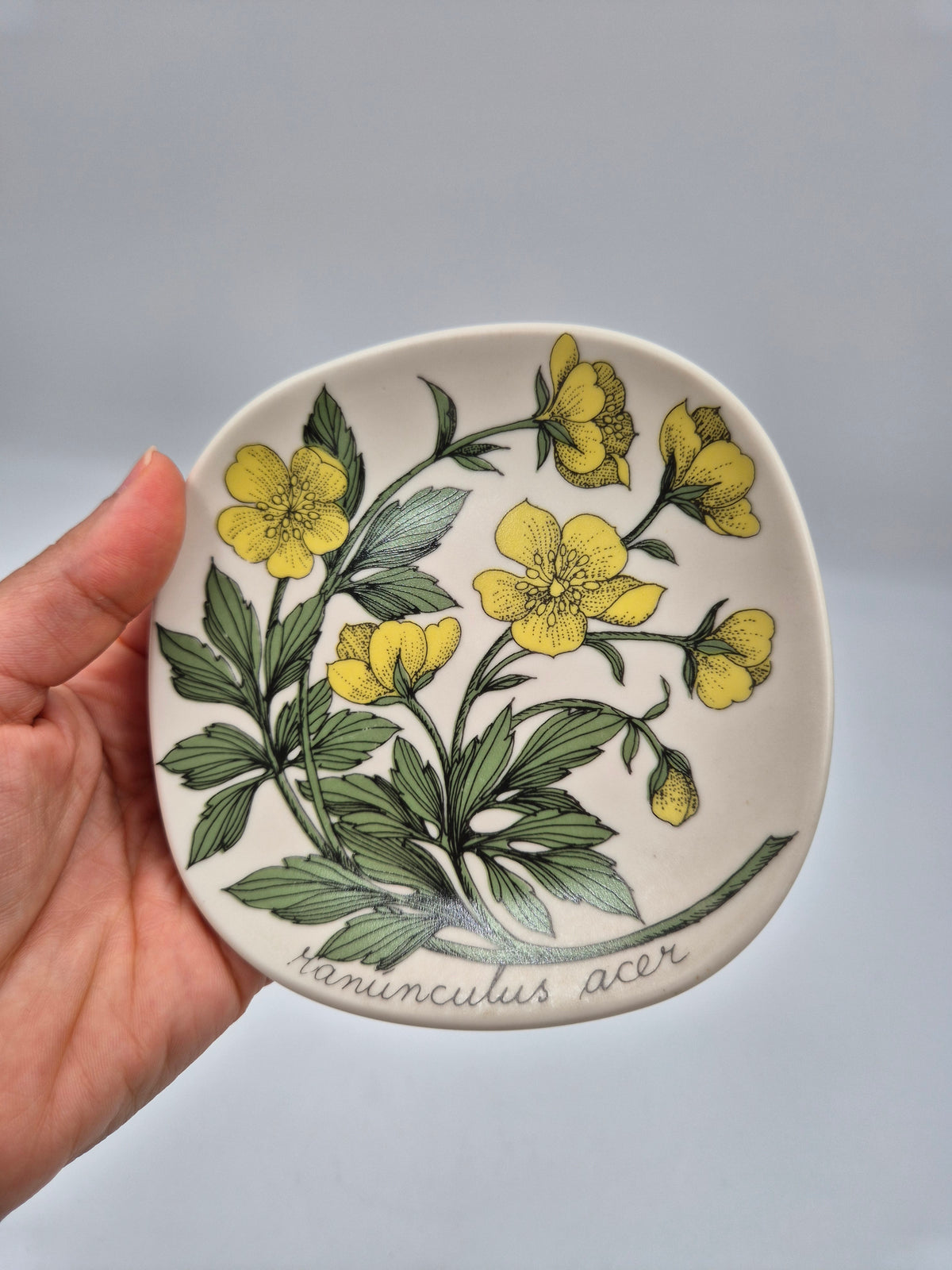 Arabia “Botanica” Wandbord – Esteri Tomula (1988-1989)