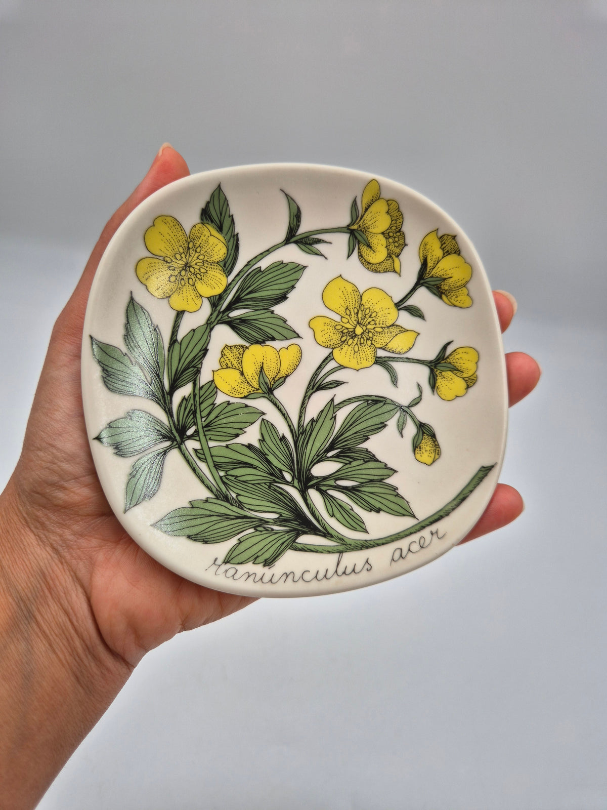 Arabia “Botanica” Wandbord – Esteri Tomula (1988-1989)