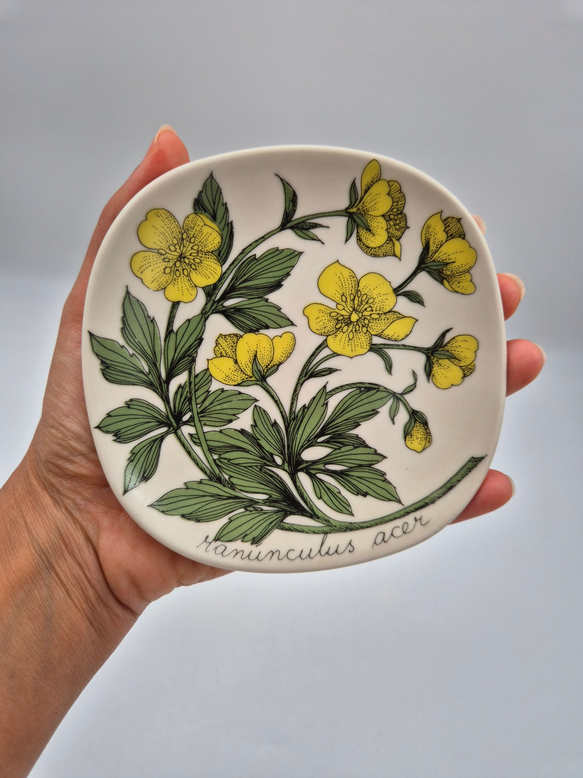 Arabia “Botanica” Wandbord – Esteri Tomula (1988-1989)