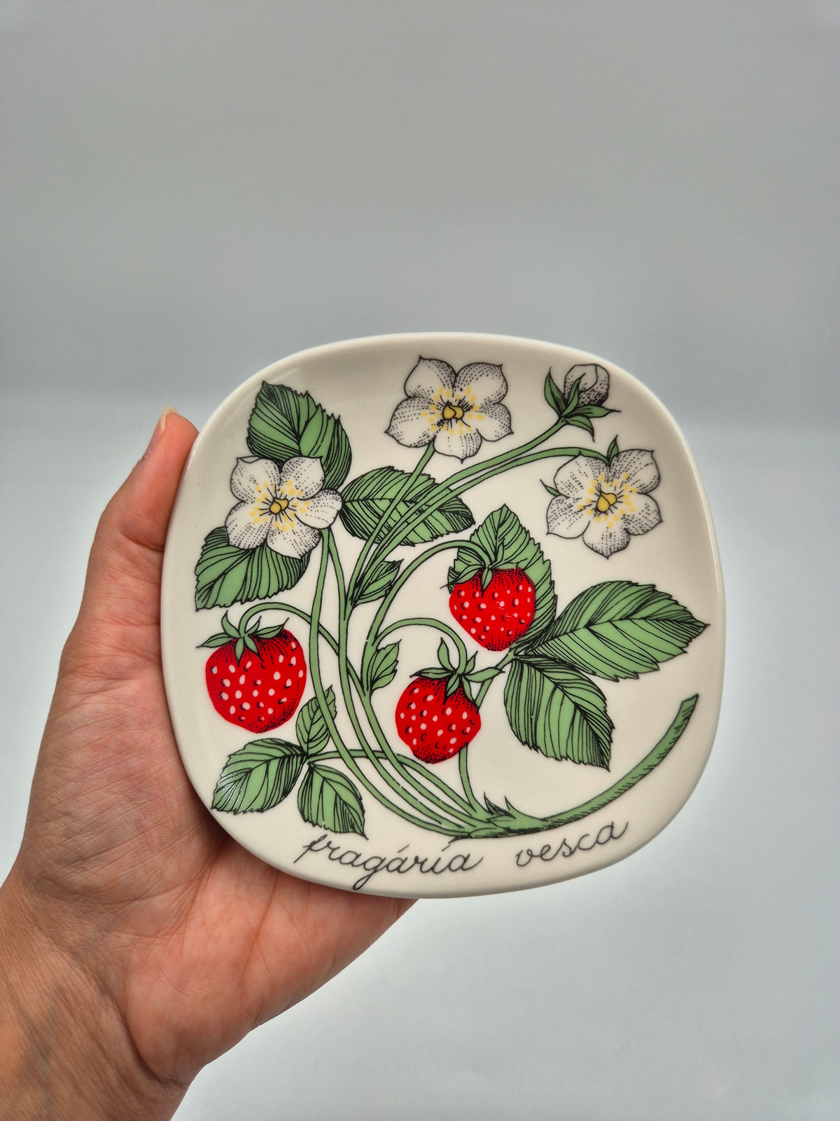 Arabia, Esteri Tomula, Botanica Fragaria vesca (Ahomansikka, Wild Strawberry) Wall Plate