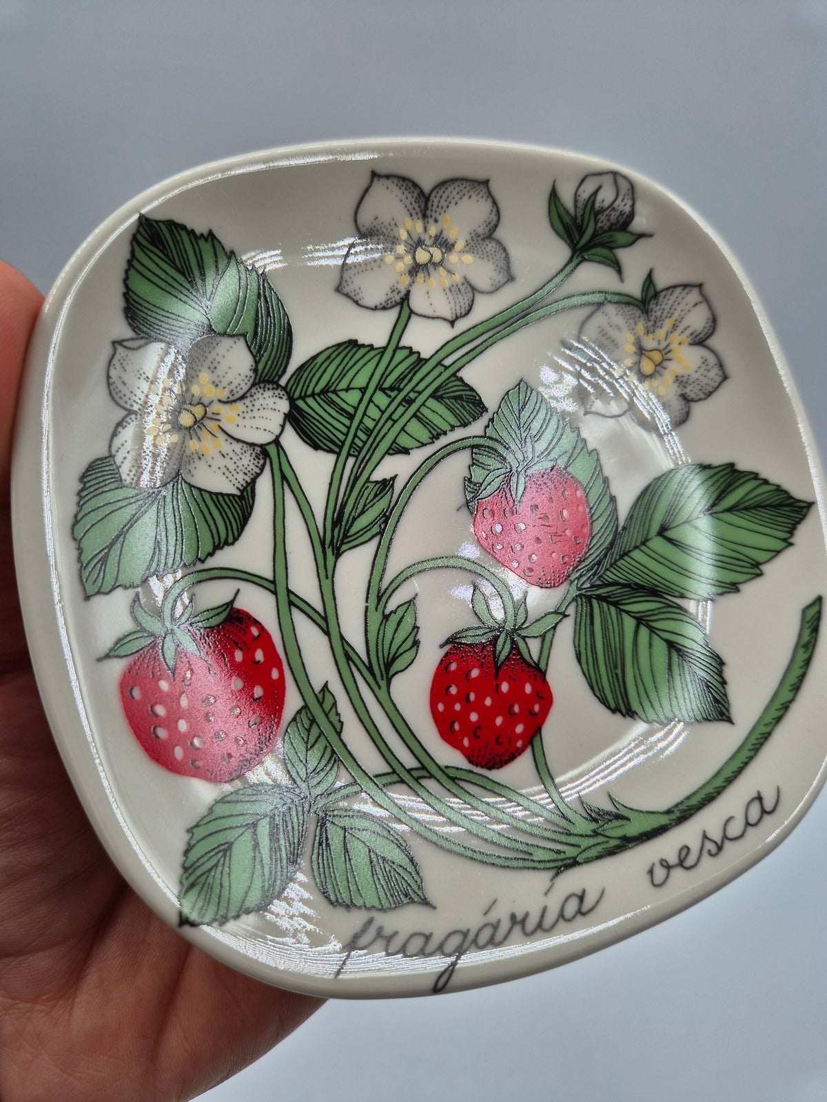 Arabia, Esteri Tomula, Botanica Fragaria vesca (Ahomansikka, Wild Strawberry) Wall Plate