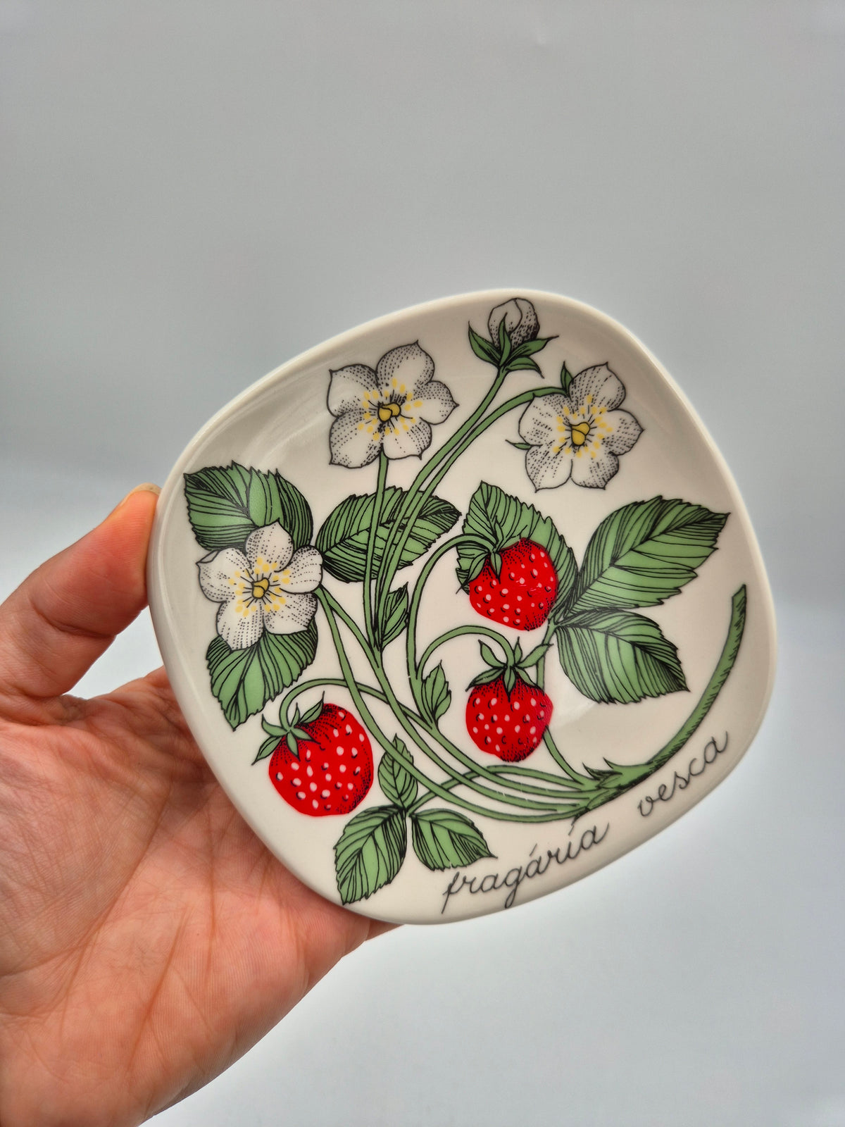 Arabia, Esteri Tomula, Botanica Fragaria vesca (Ahomansikka, Wild Strawberry) Wall Plate