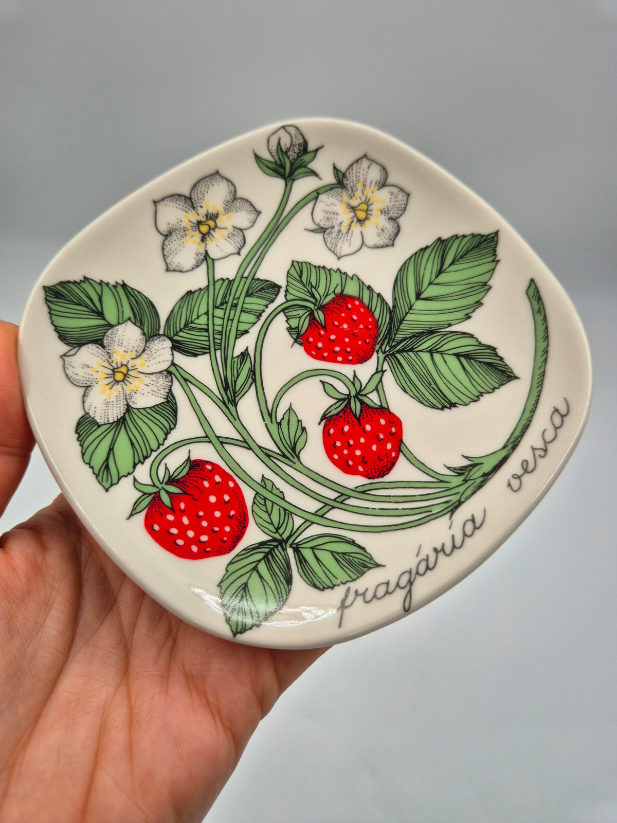Arabia, Esteri Tomula, Botanica Fragaria vesca (Ahomansikka, Wild Strawberry) Wall Plate