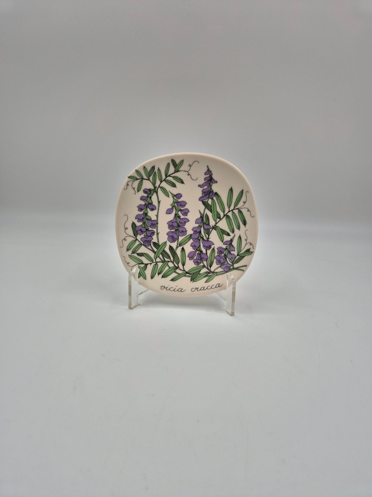 Arabia, Esteri Tomula, Botanica Vicia cracca (Hiirenvirna, Tufted Vetch) Wall Plate