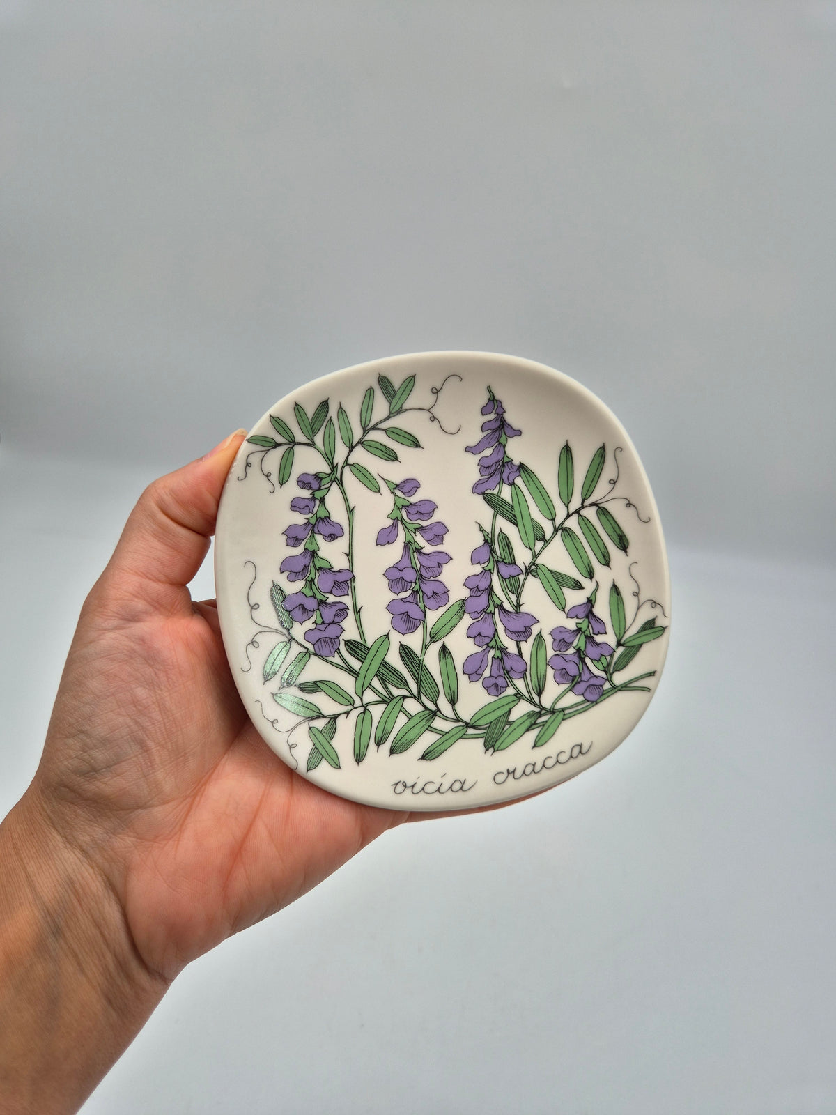 Arabia, Esteri Tomula, Botanica Vicia cracca (Hiirenvirna, Tufted Vetch) Wall Plate